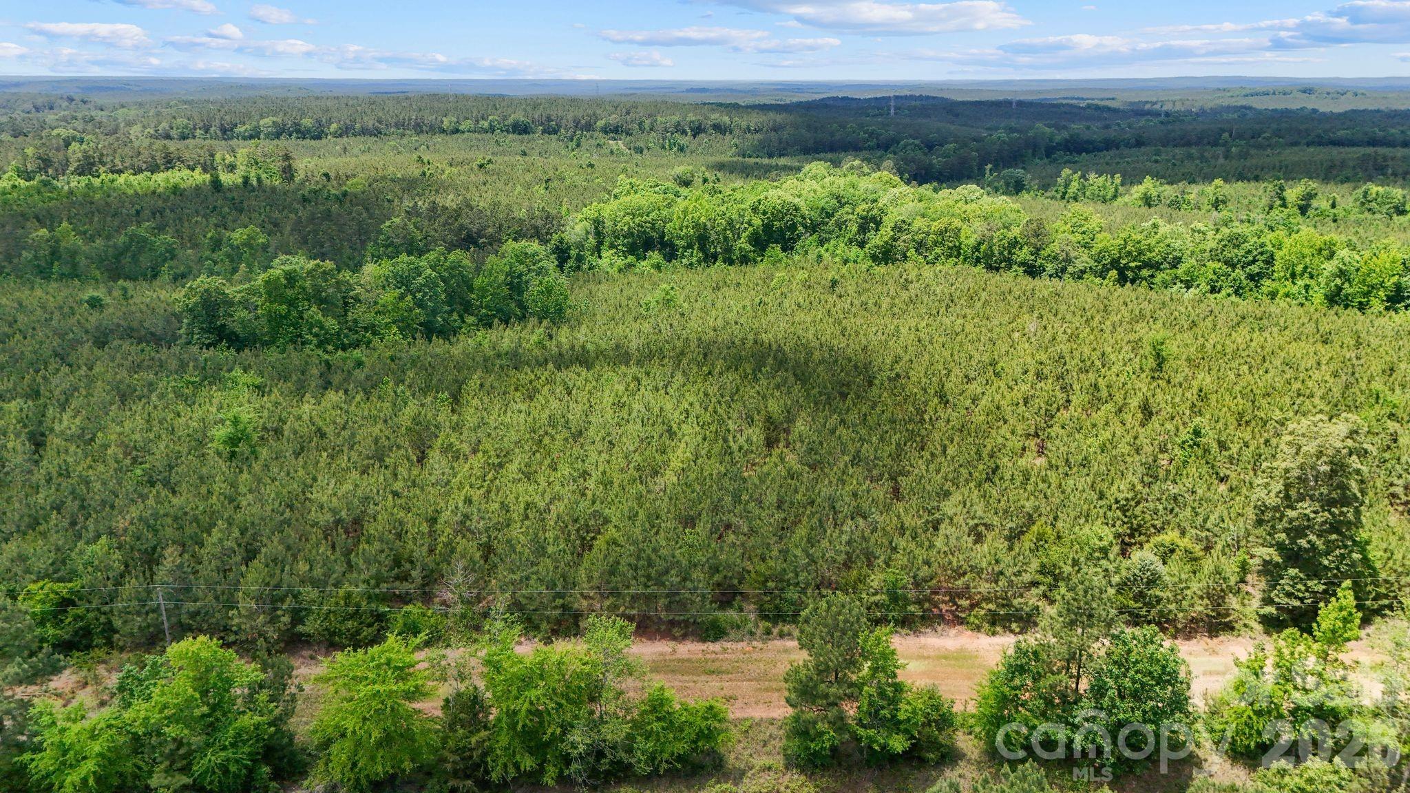 0000 Cool Branch Road 3 Property Photo 14