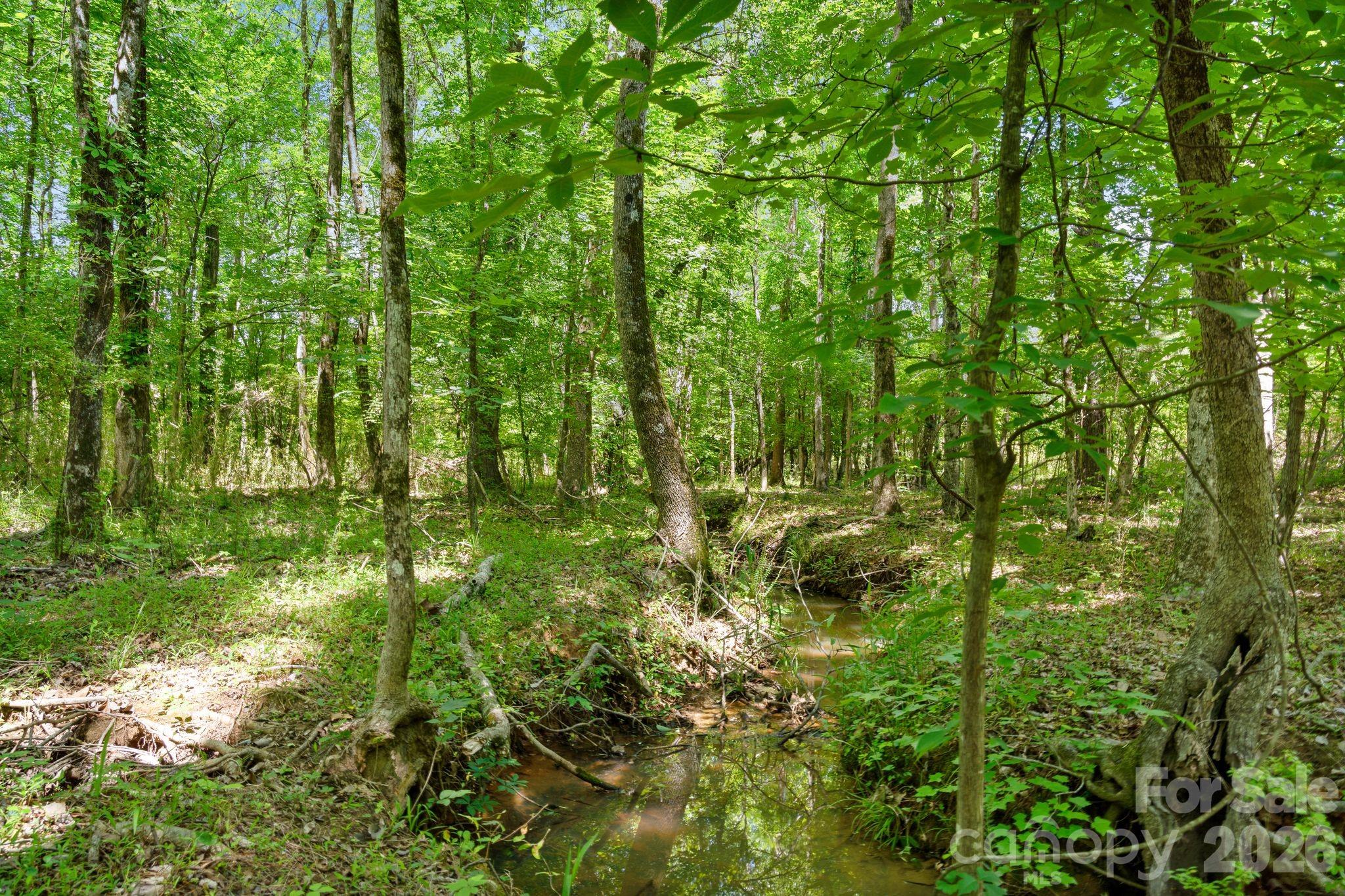 0000 Cool Branch Road 5 Property Photo 5