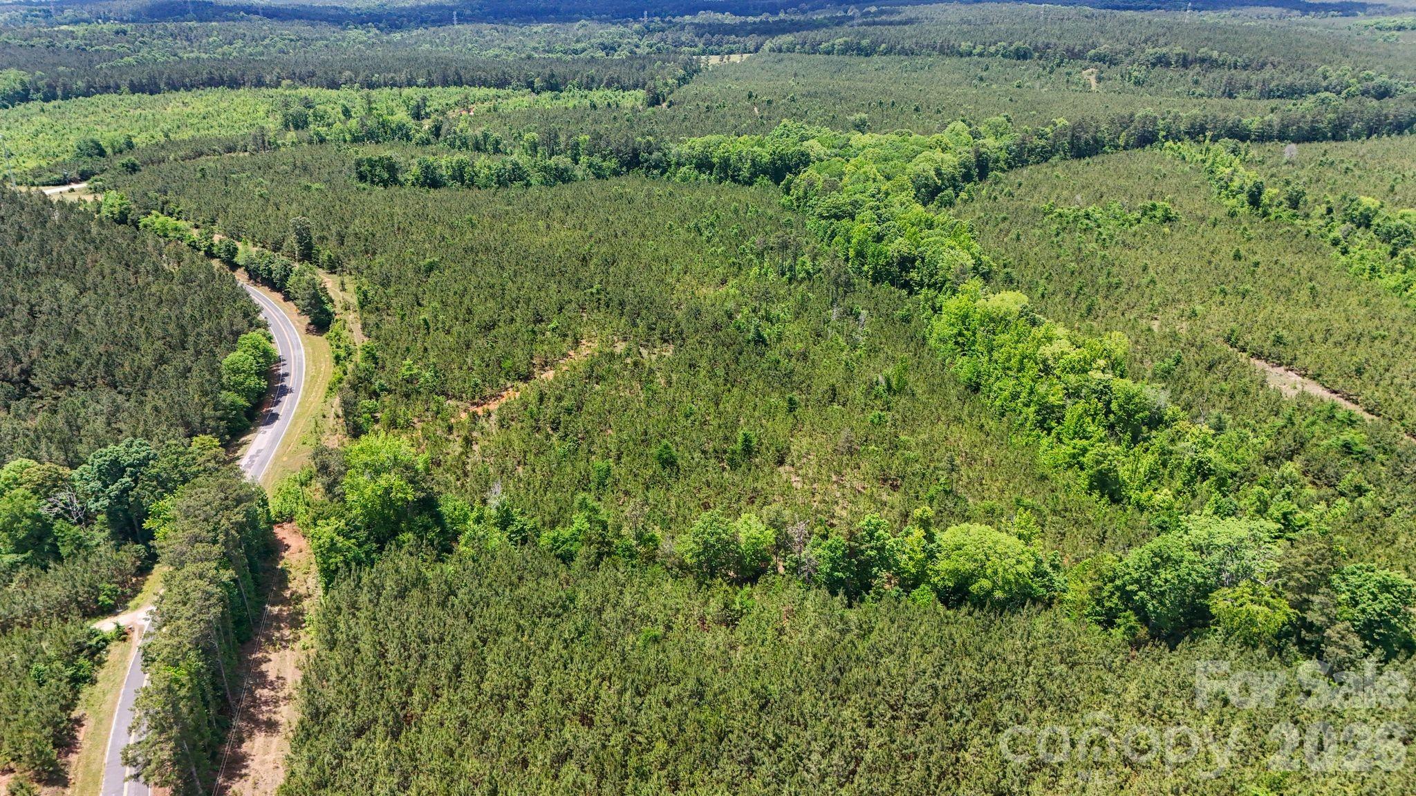 0000 Cool Branch Road 5 Property Photo 10