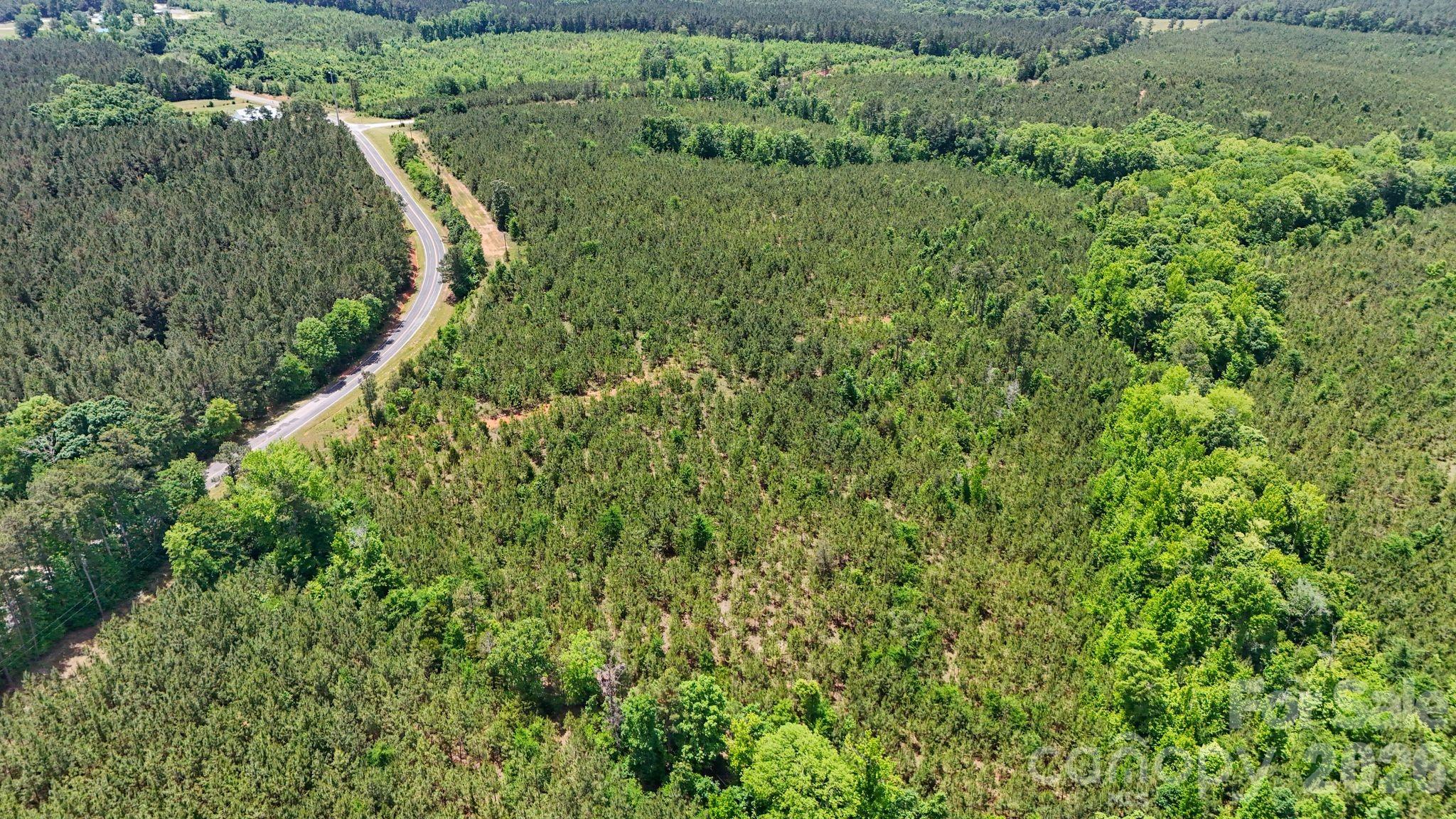 0000 Cool Branch Road 5 Property Photo 11