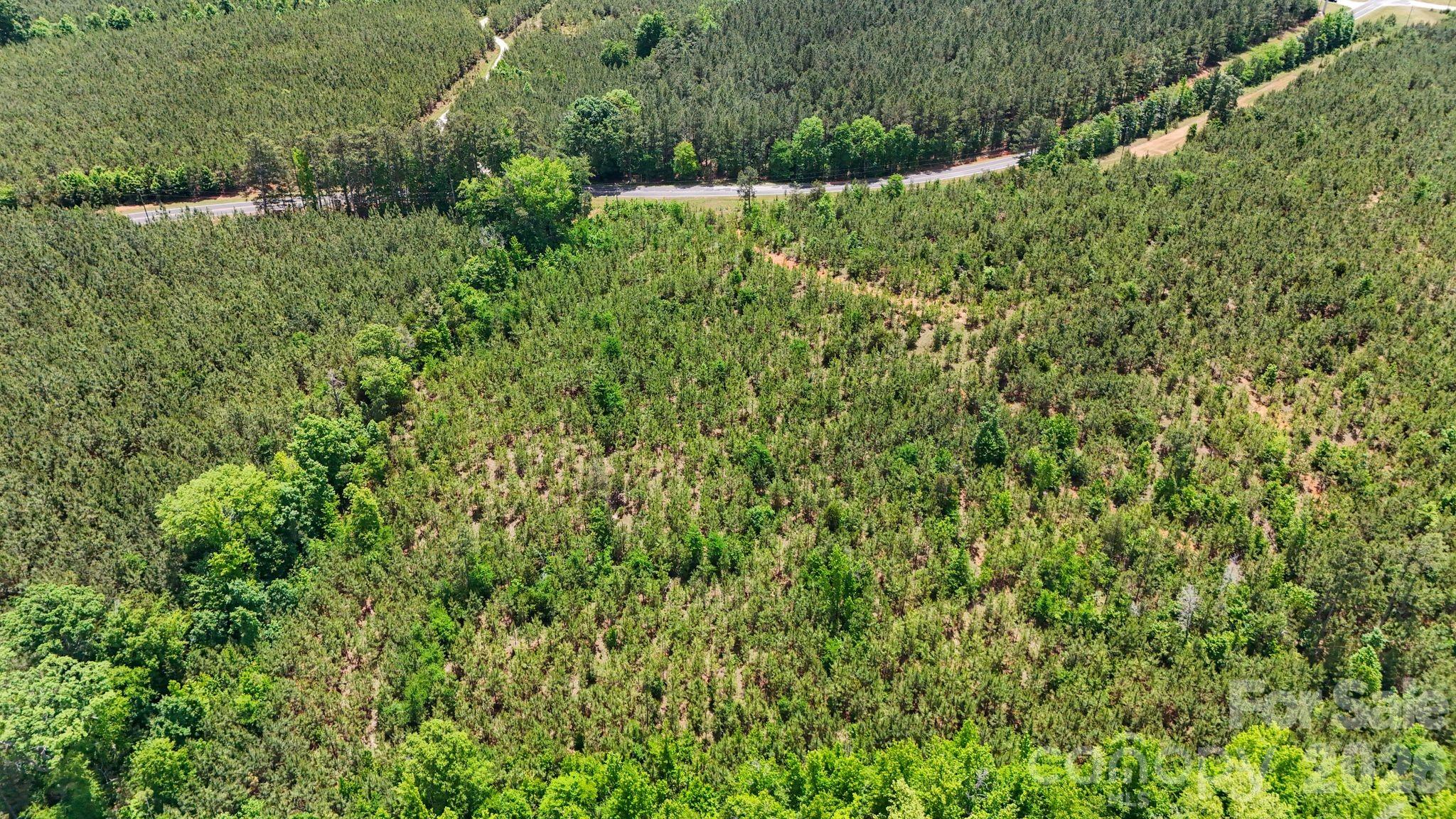 0000 Cool Branch Road 5 Property Photo 12