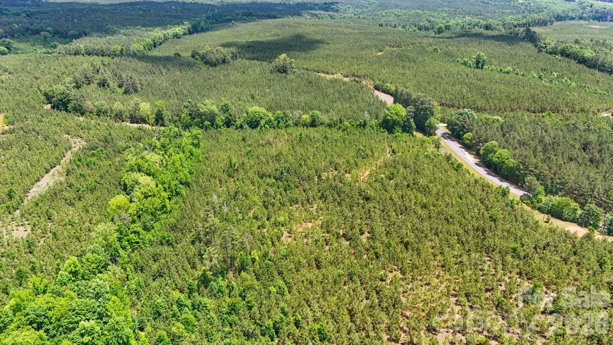 0000 Cool Branch Road 5 Property Photo 14