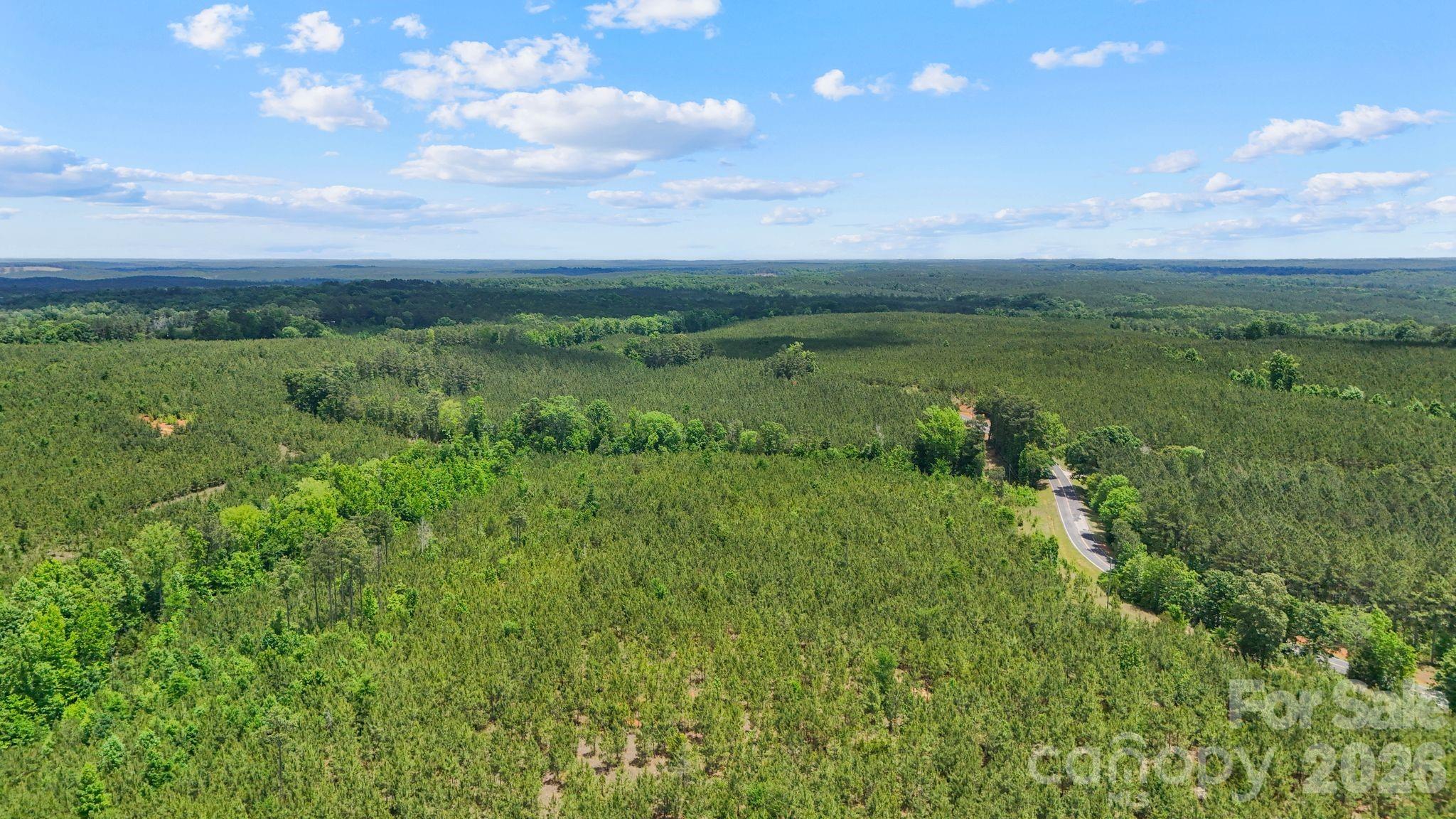 0000 Cool Branch Road 5 Property Photo 15