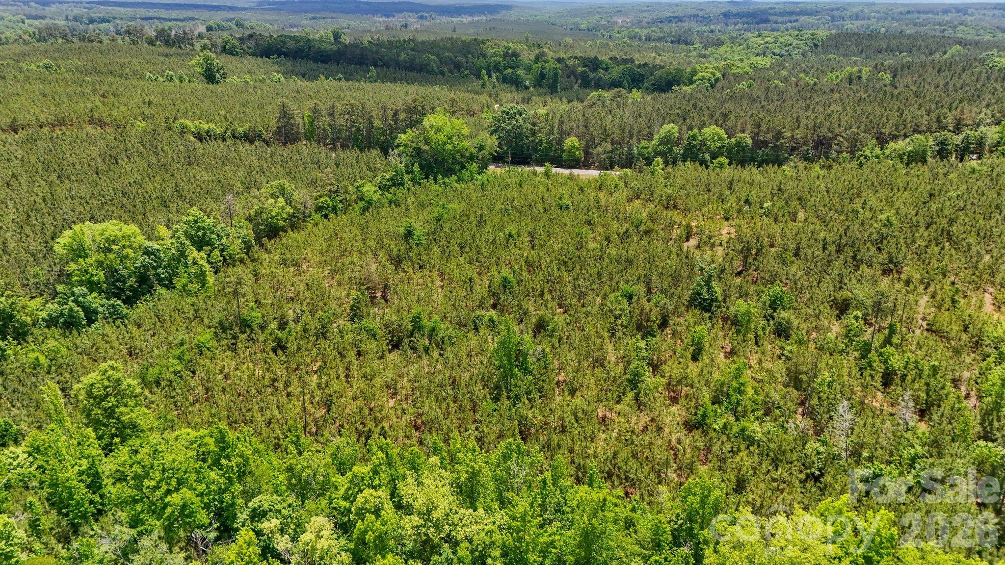 0000 Cool Branch Road 5 Property Photo 18