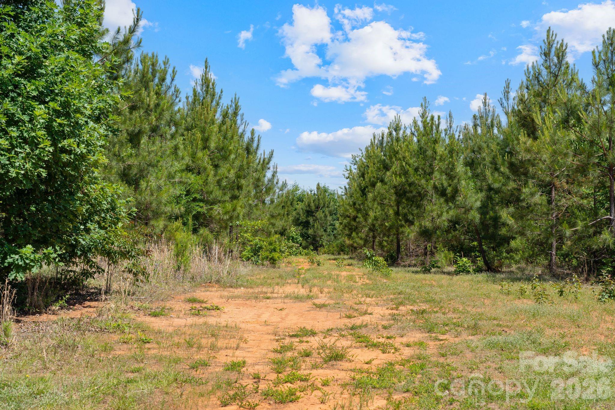 0000 Cool Branch Road 5 Property Photo 22