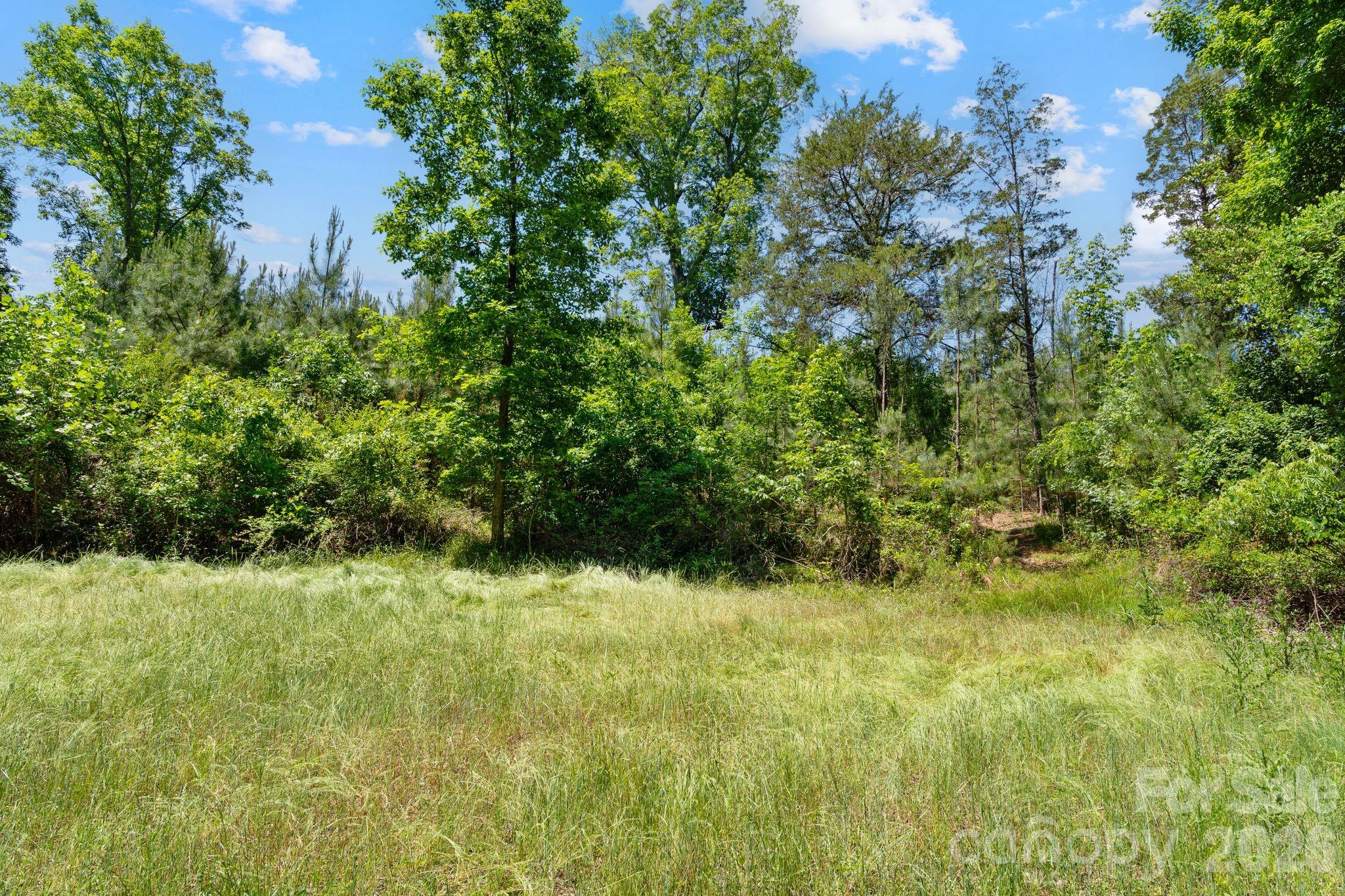 0000 Cool Branch Road 5 Property Photo 23