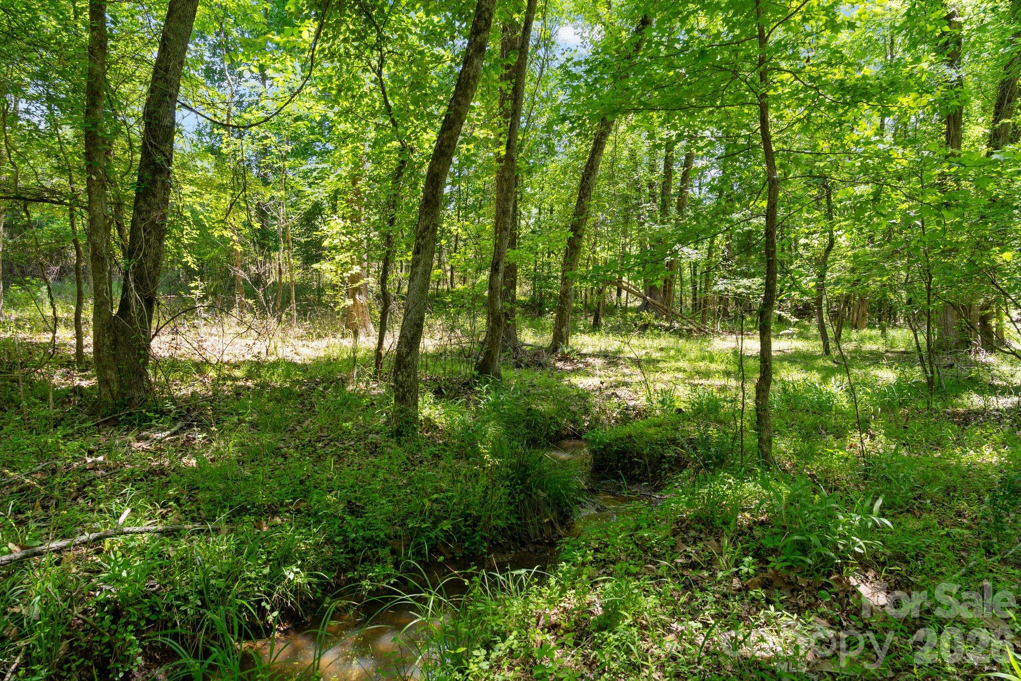 0000 Cool Branch Road 5 Property Photo 29