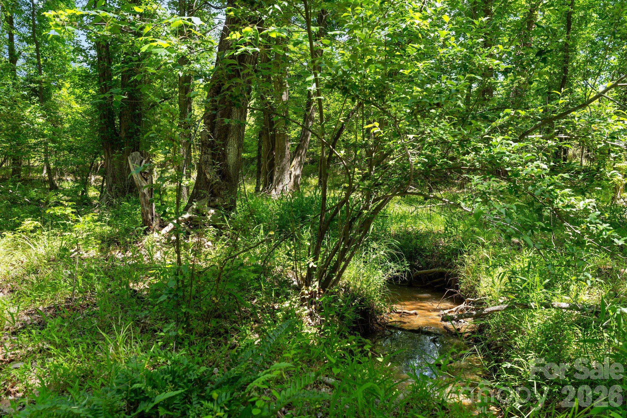 0000 Cool Branch Road 5 Property Photo 34