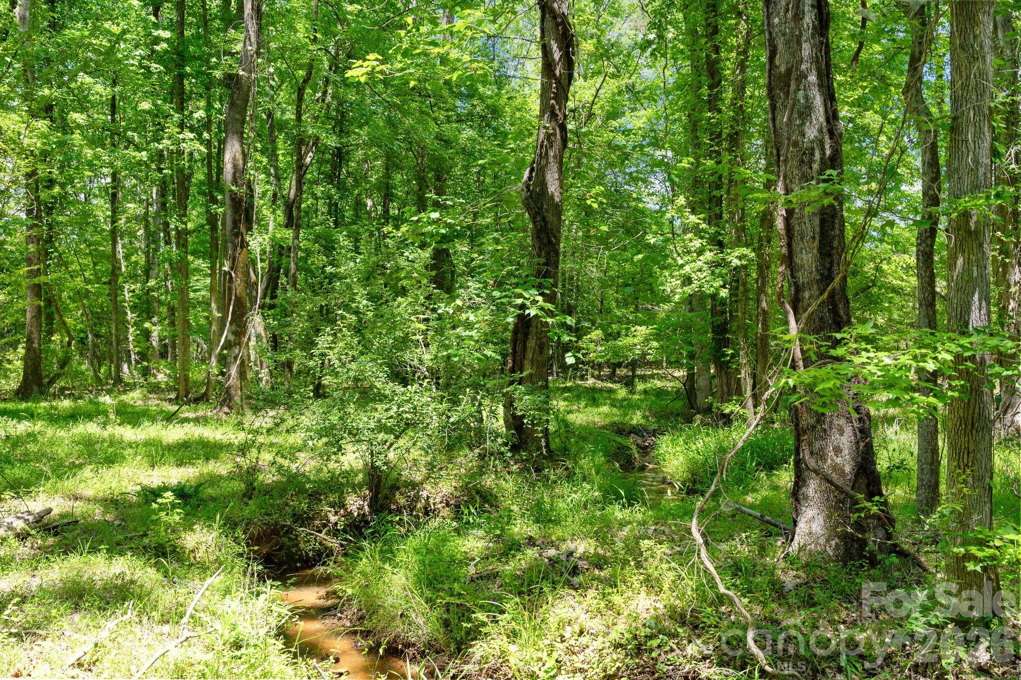 0000 Cool Branch Road 5 Property Photo 35