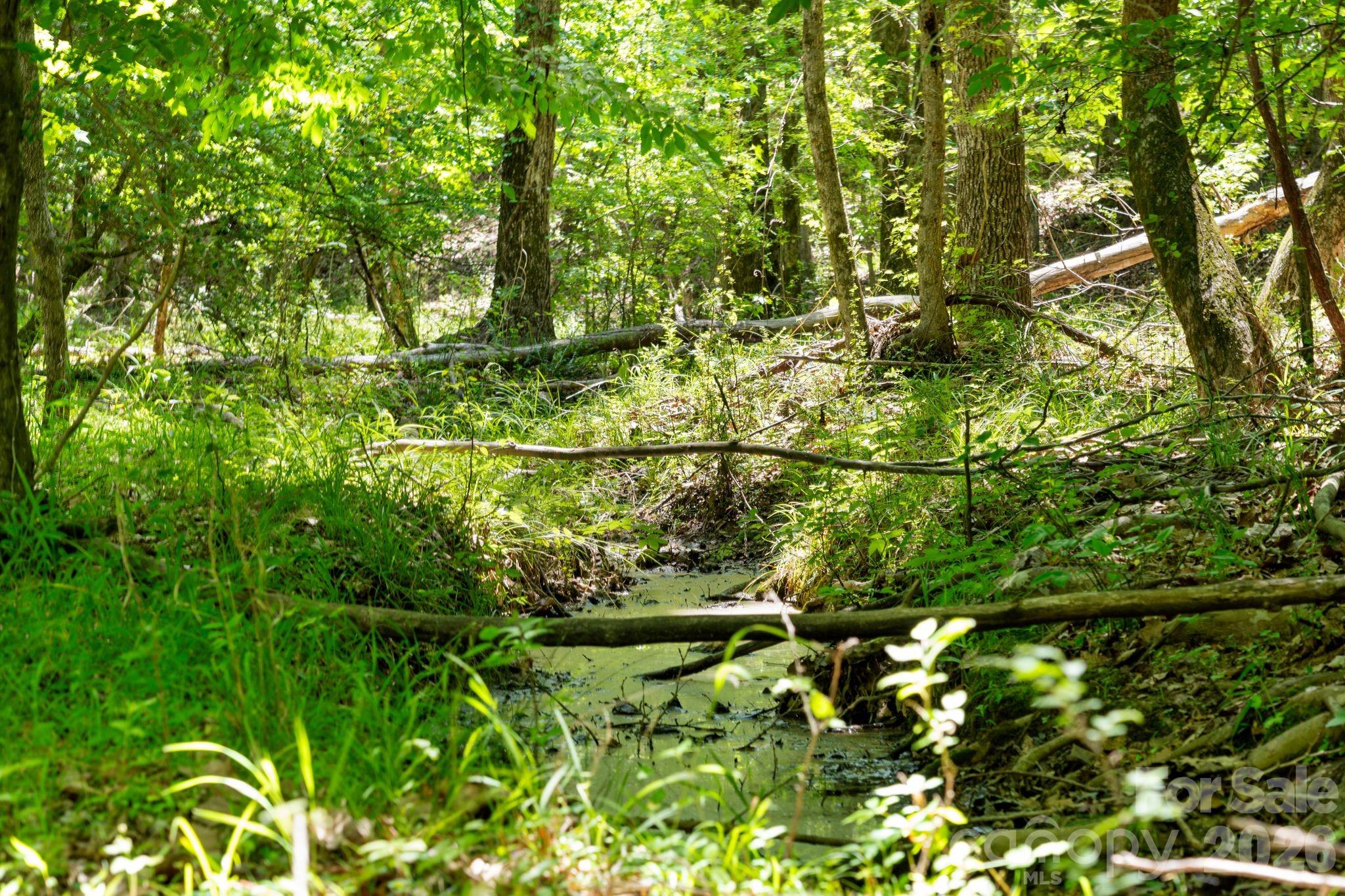 0000 Cool Branch Road 5 Property Photo 37