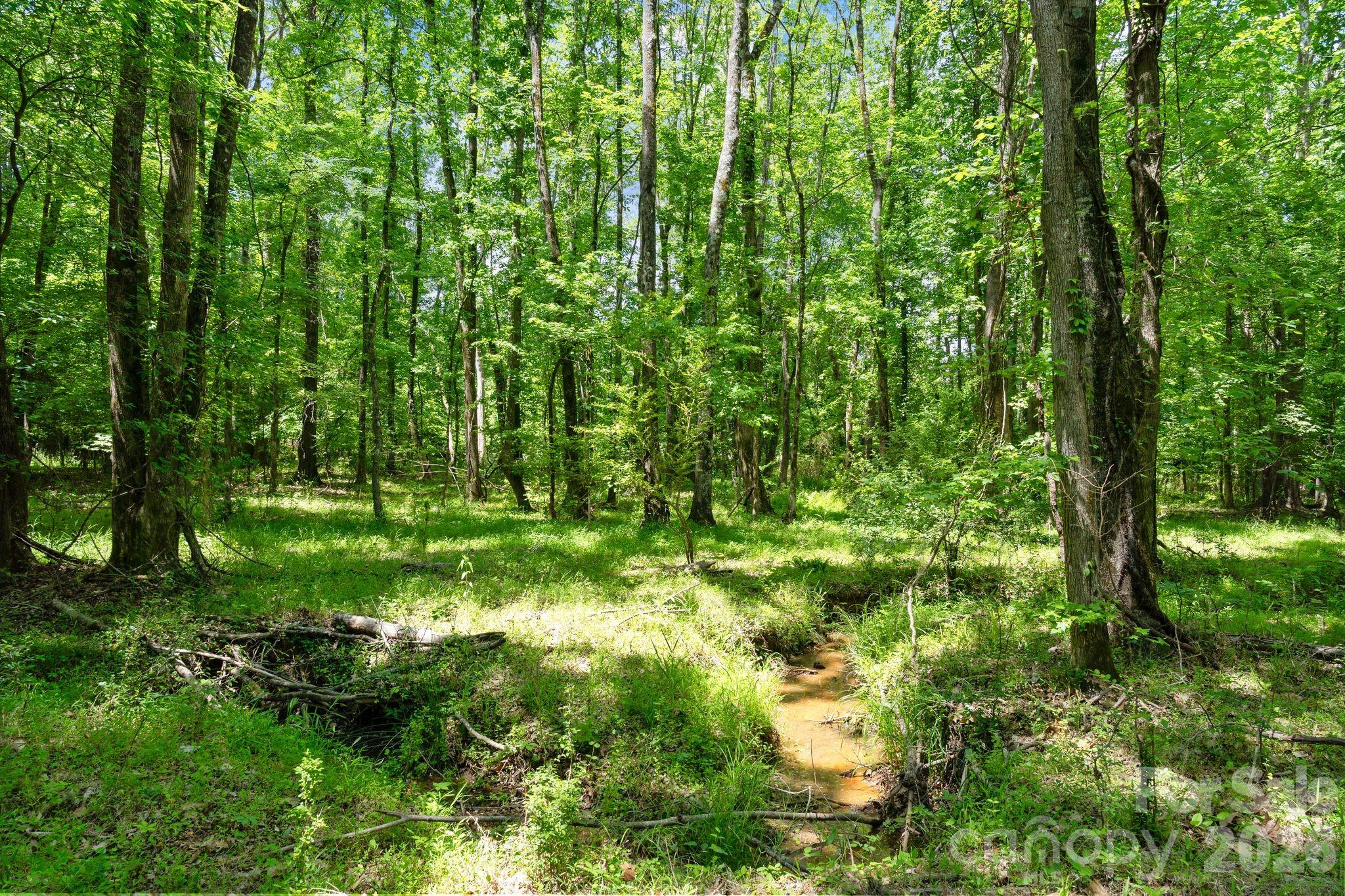 0000 Cool Branch Road 5 Property Photo 39