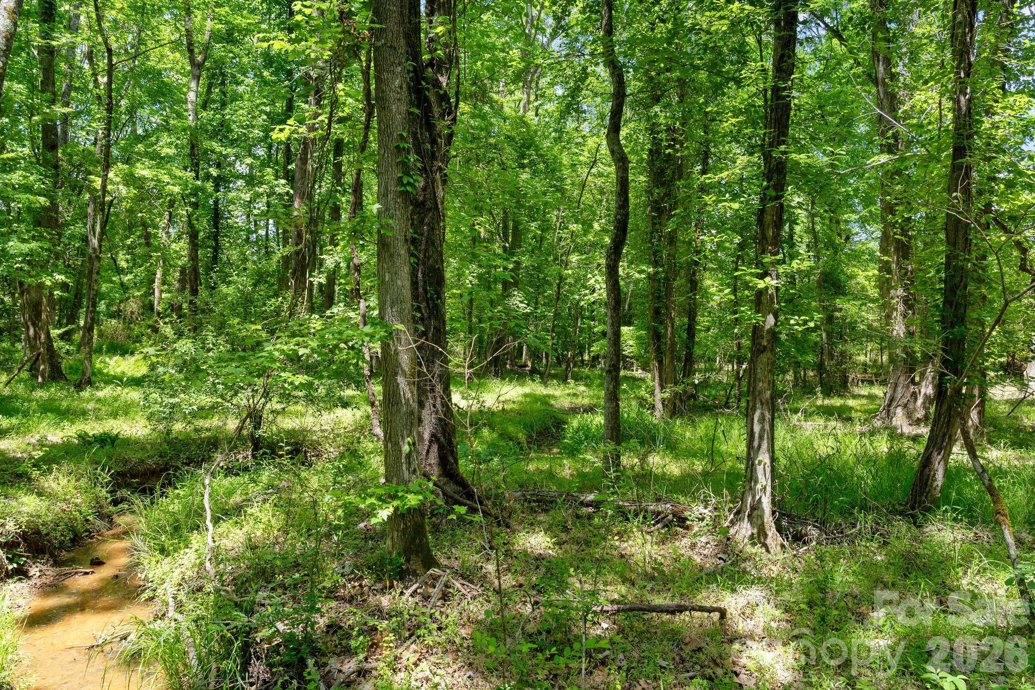0000 Cool Branch Road 5 Property Photo 41