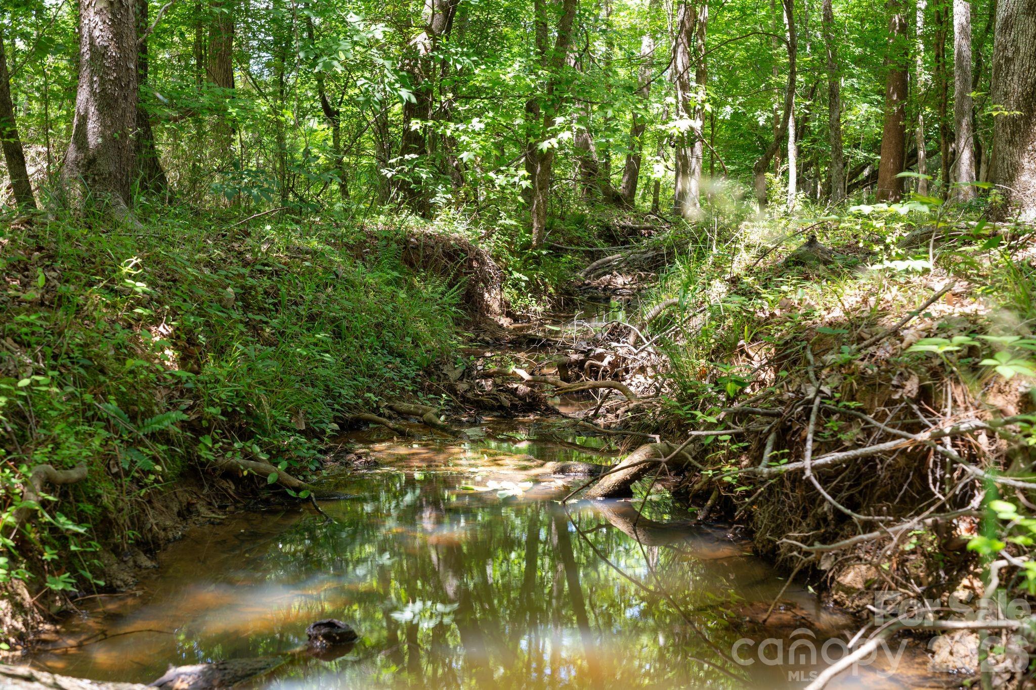 0000 Cool Branch Road 5 Property Photo 46