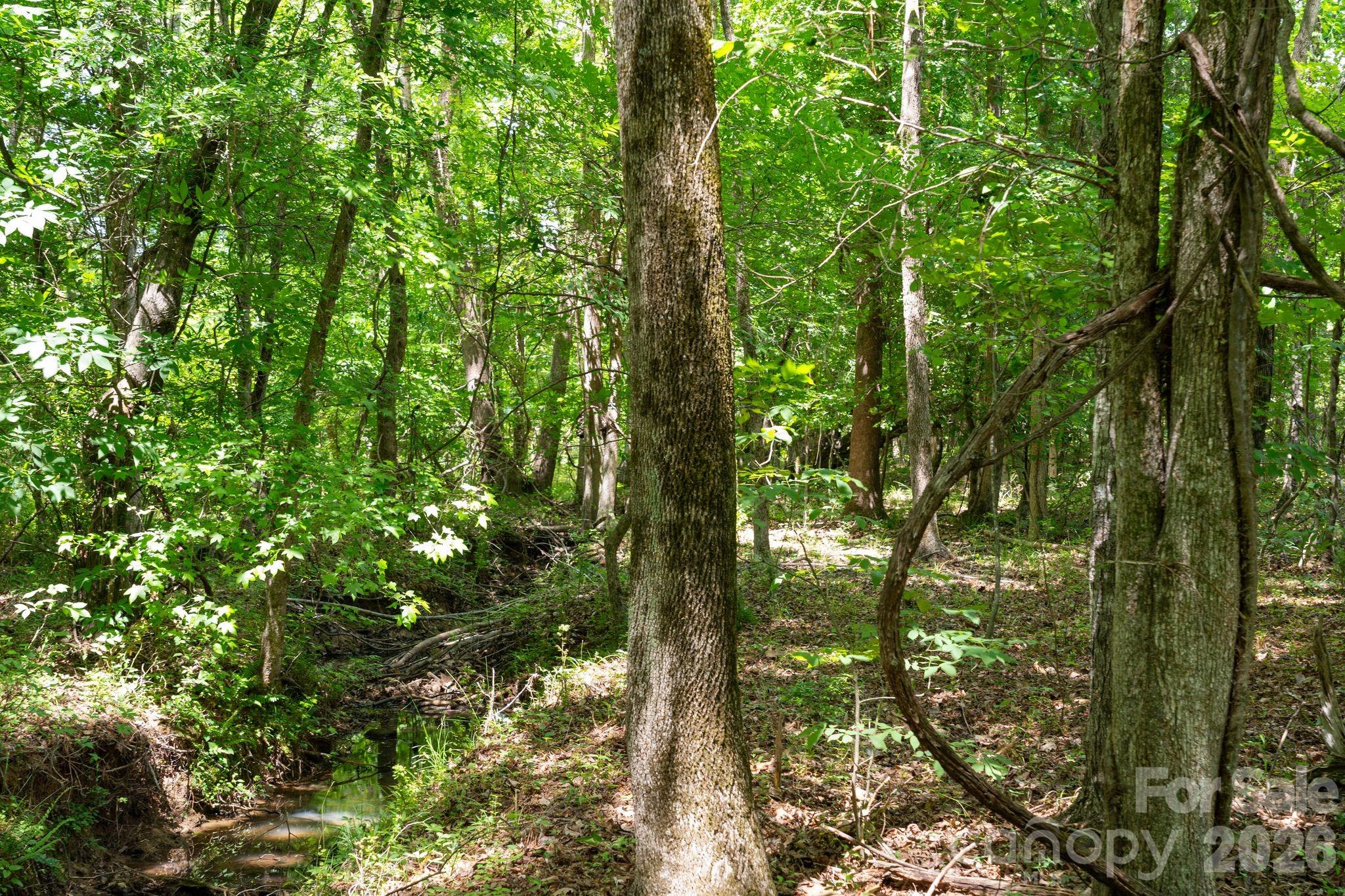 0000 Cool Branch Road 5 Property Photo 47