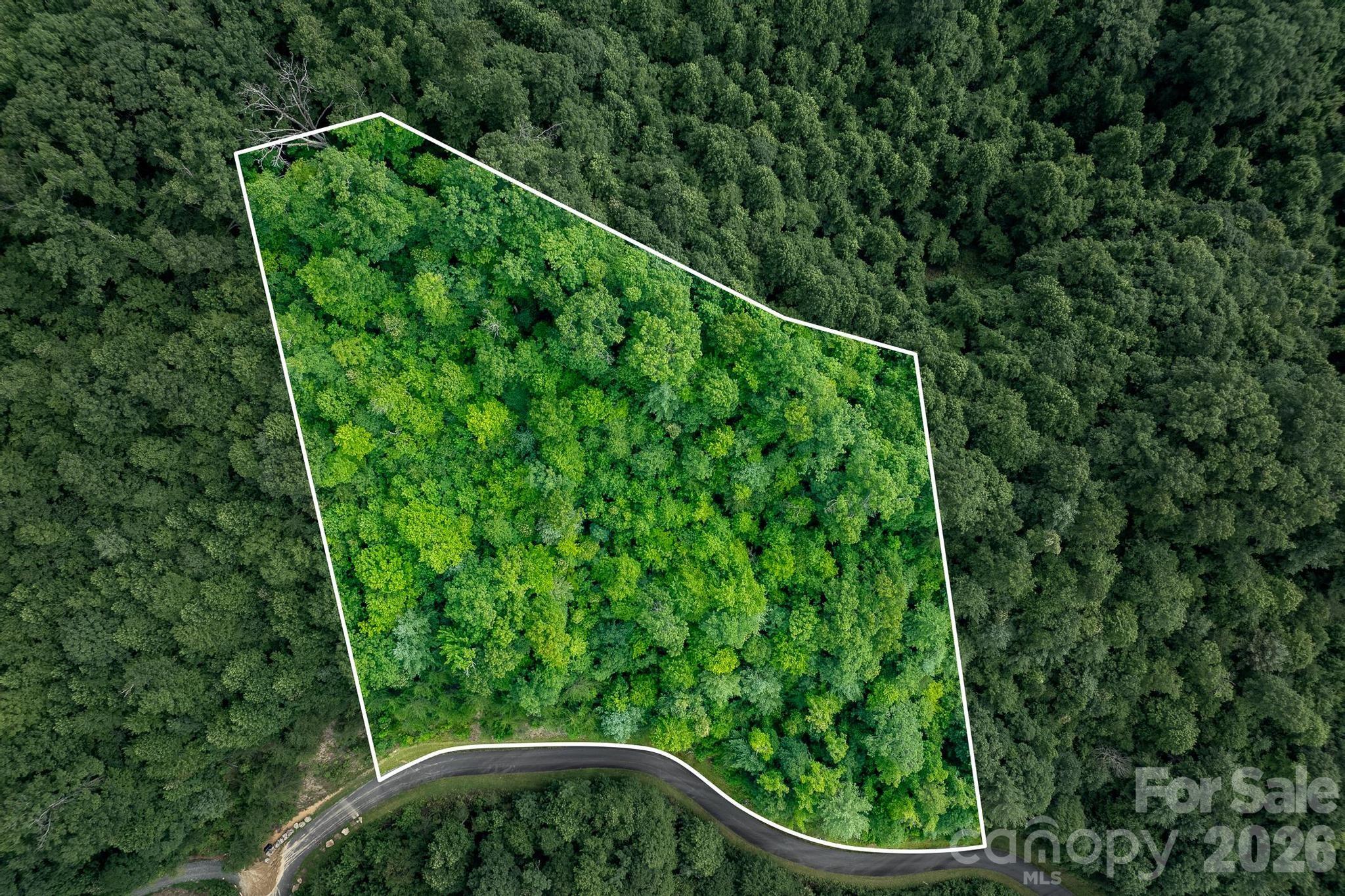 565 Pine Cone Trail Property Photo 2