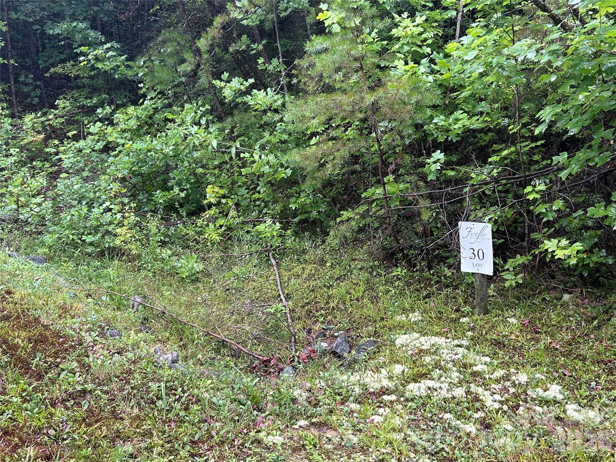565 Pine Cone Trail Property Photo 7
