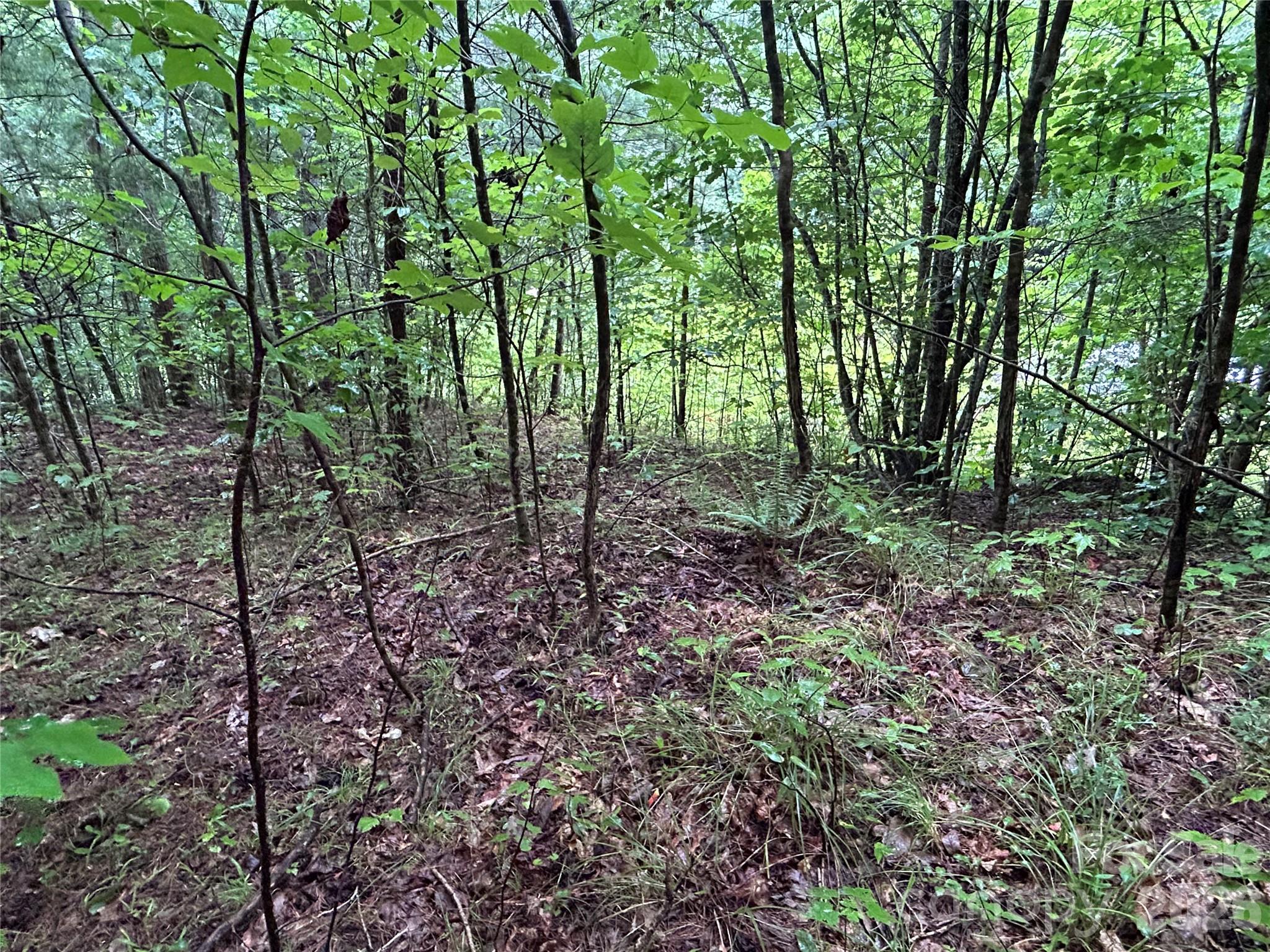 565 Pine Cone Trail Property Photo 9