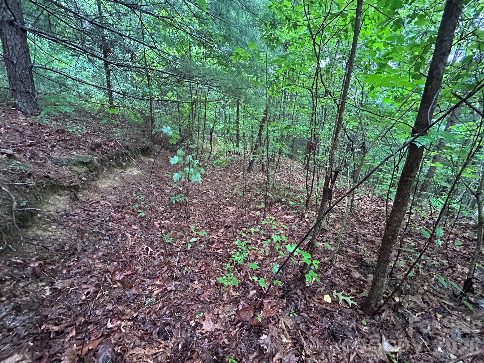 565 Pine Cone Trail Property Photo 12