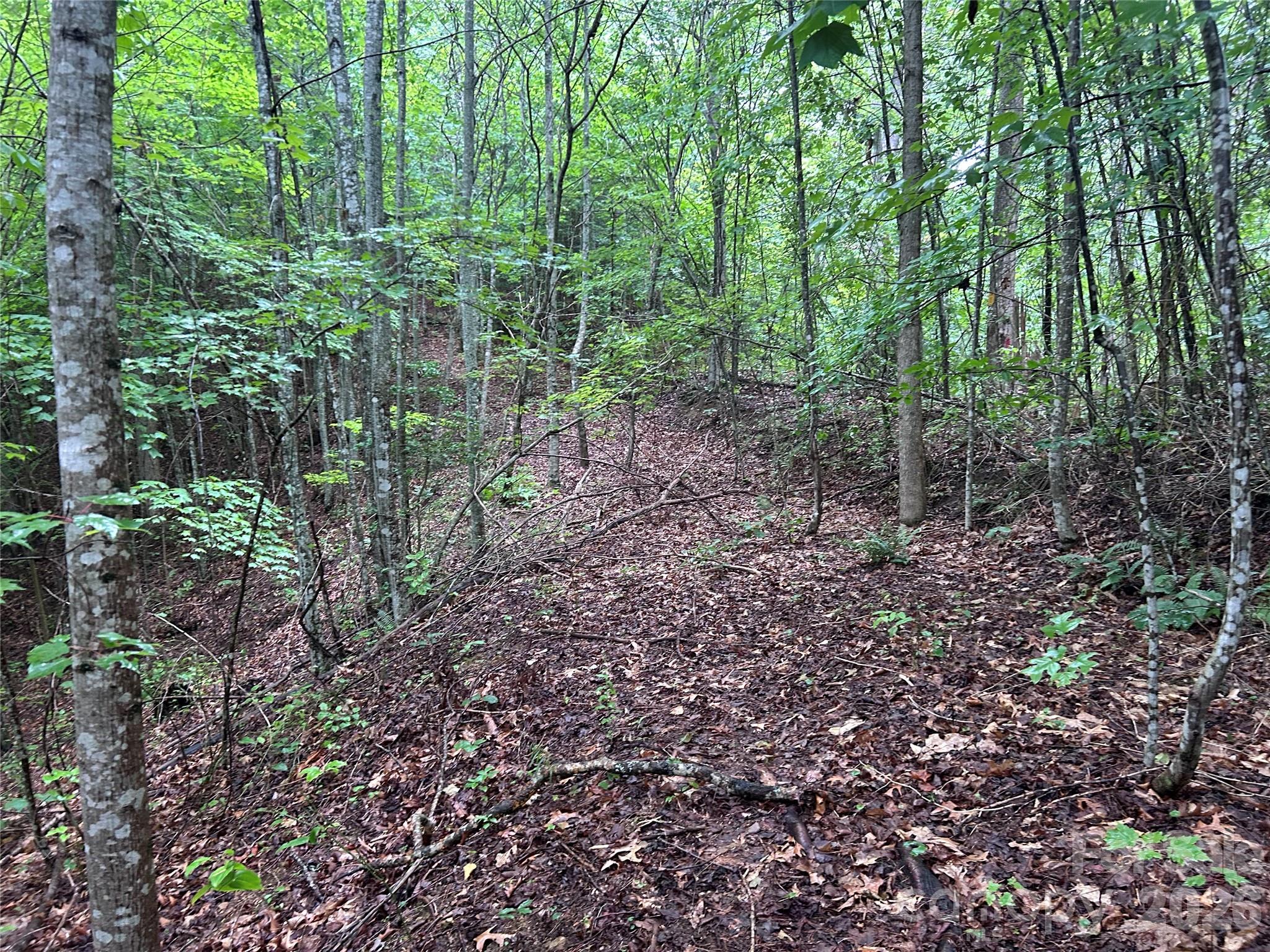 565 Pine Cone Trail Property Photo 14