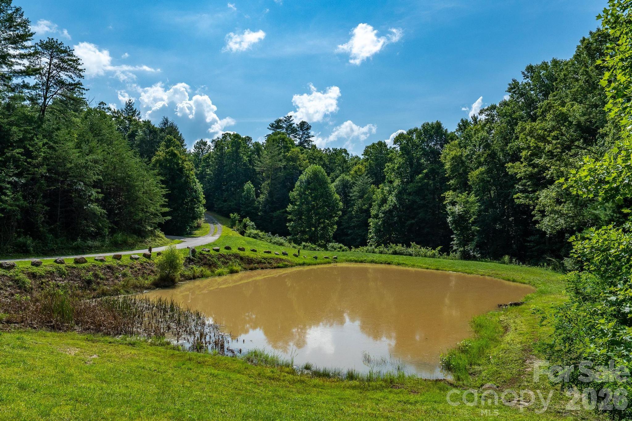 565 Pine Cone Trail Property Photo 22