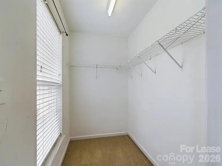 155 Kallie Loop Property Photo 20