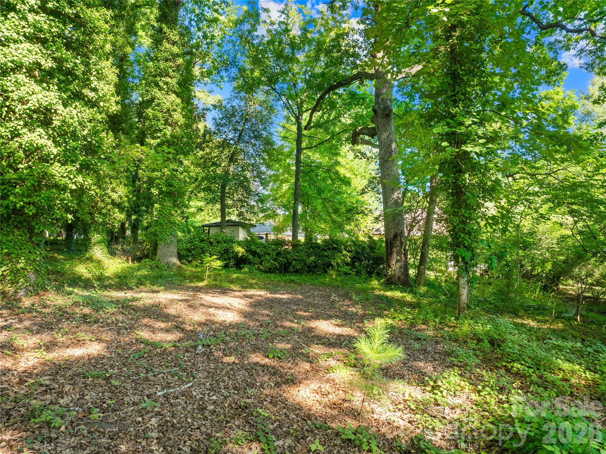 0000 Oak Trail Property Photo 2