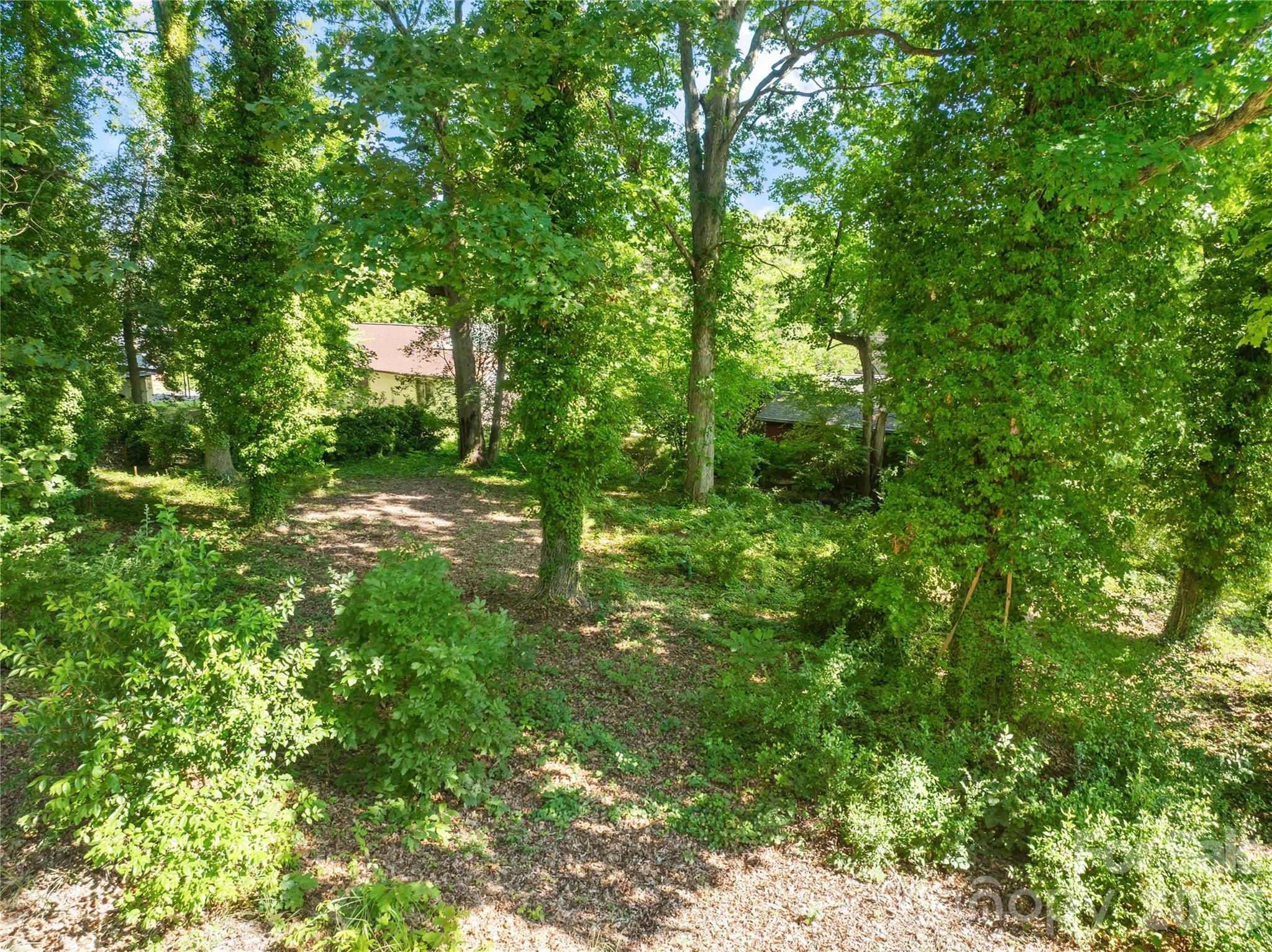 0000 Oak Trail Property Photo 4