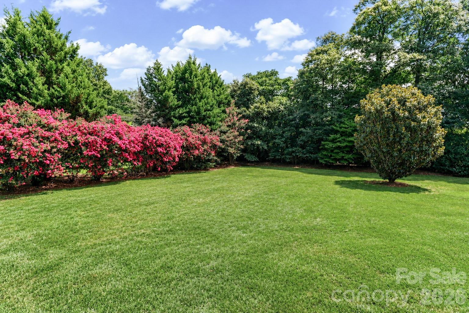 115 Seven Springs Loop Property Photo 43