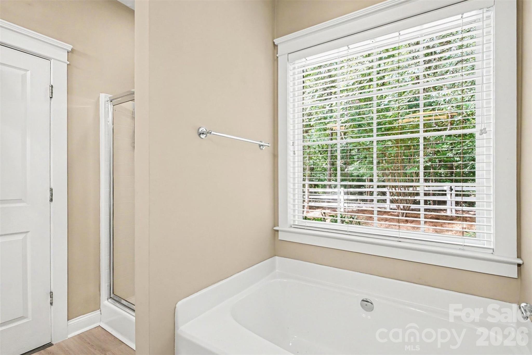 10753 Tradition View Drive Property Photo 14