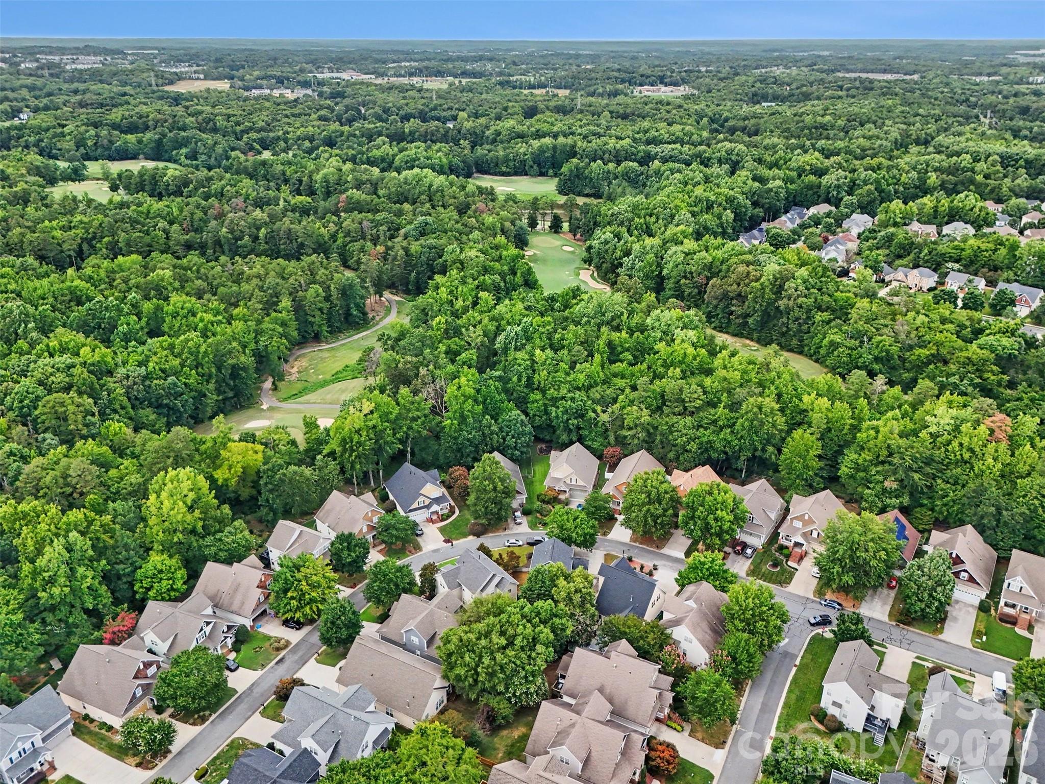 10753 Tradition View Drive Property Photo 29
