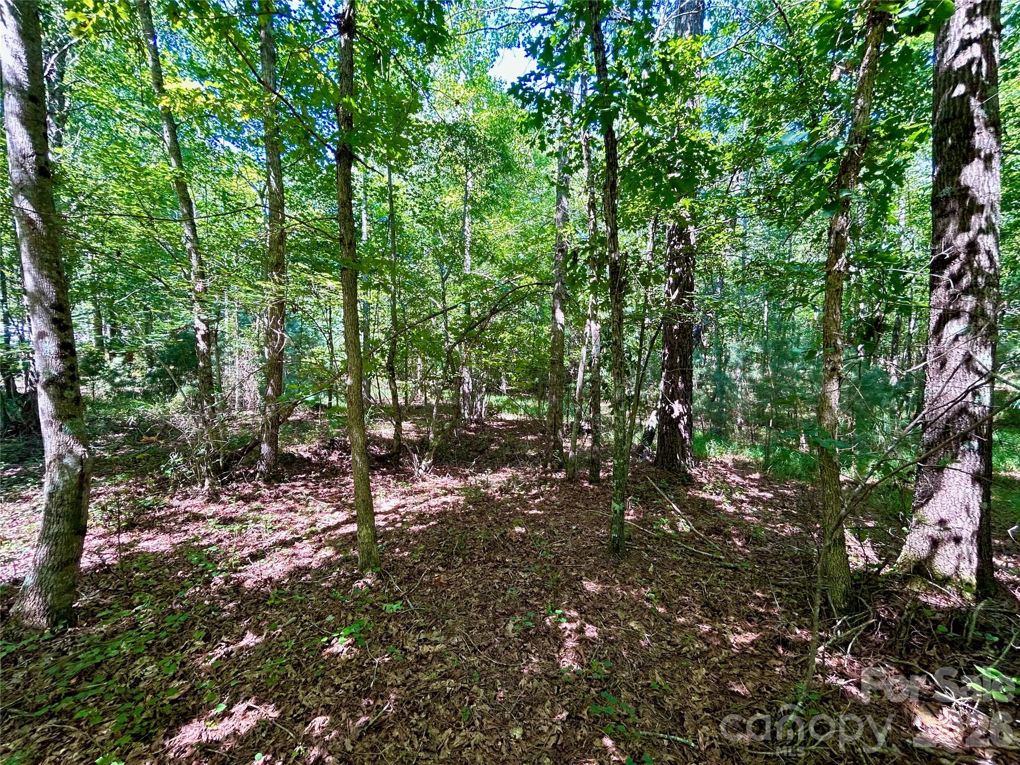 1036 W Paradise Harbor Drive Property Photo 4