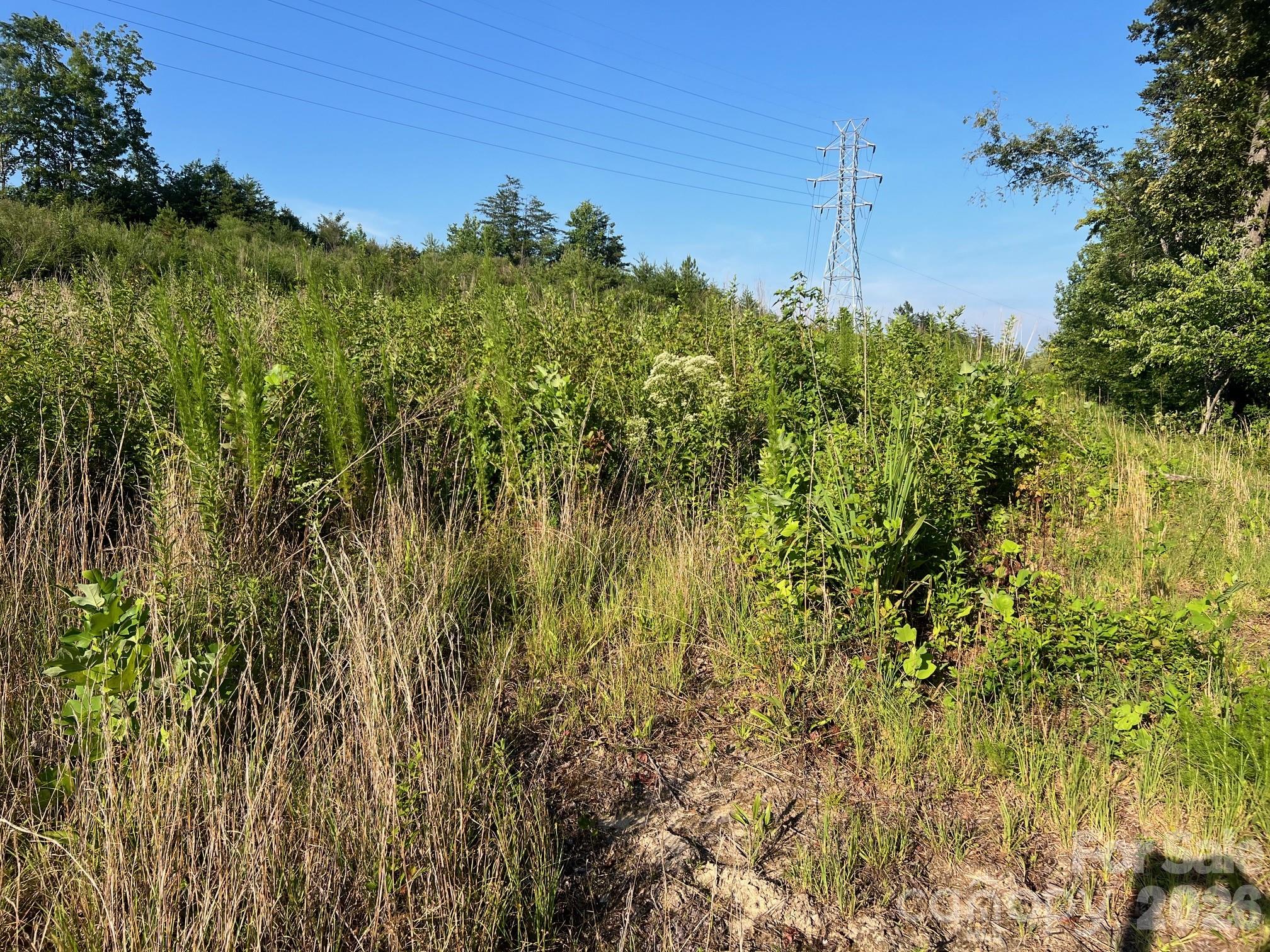 1156 Carbon City Road Property Photo 8