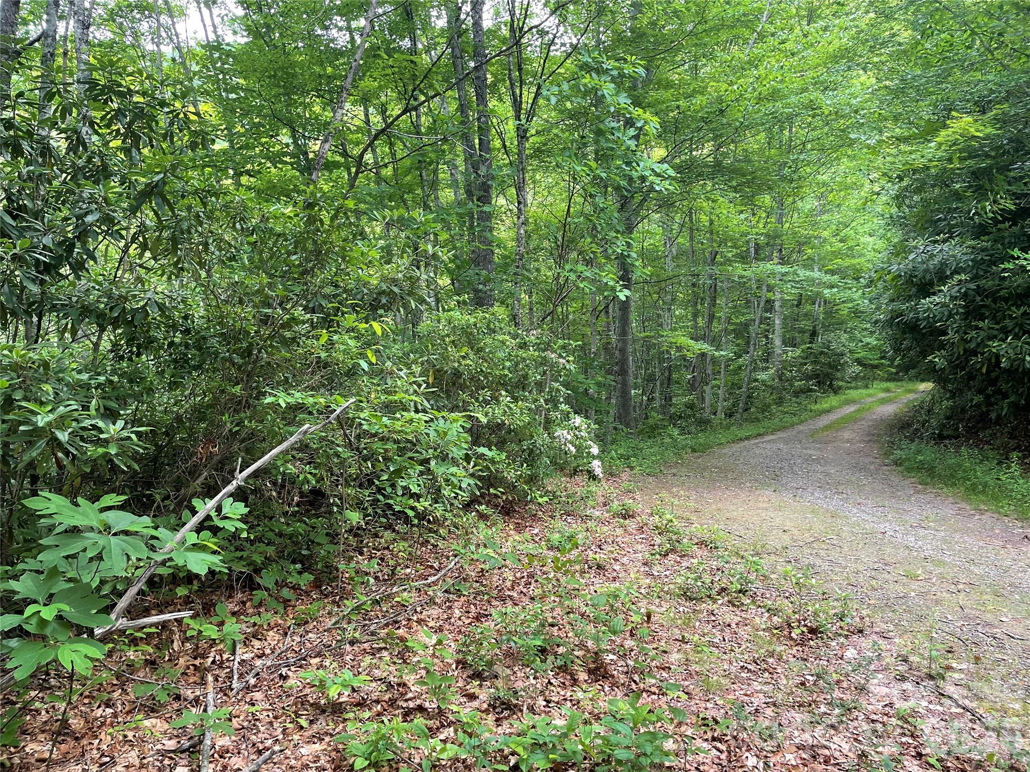 Lt 279 Cabin Flats Road 279 Property Photo 1