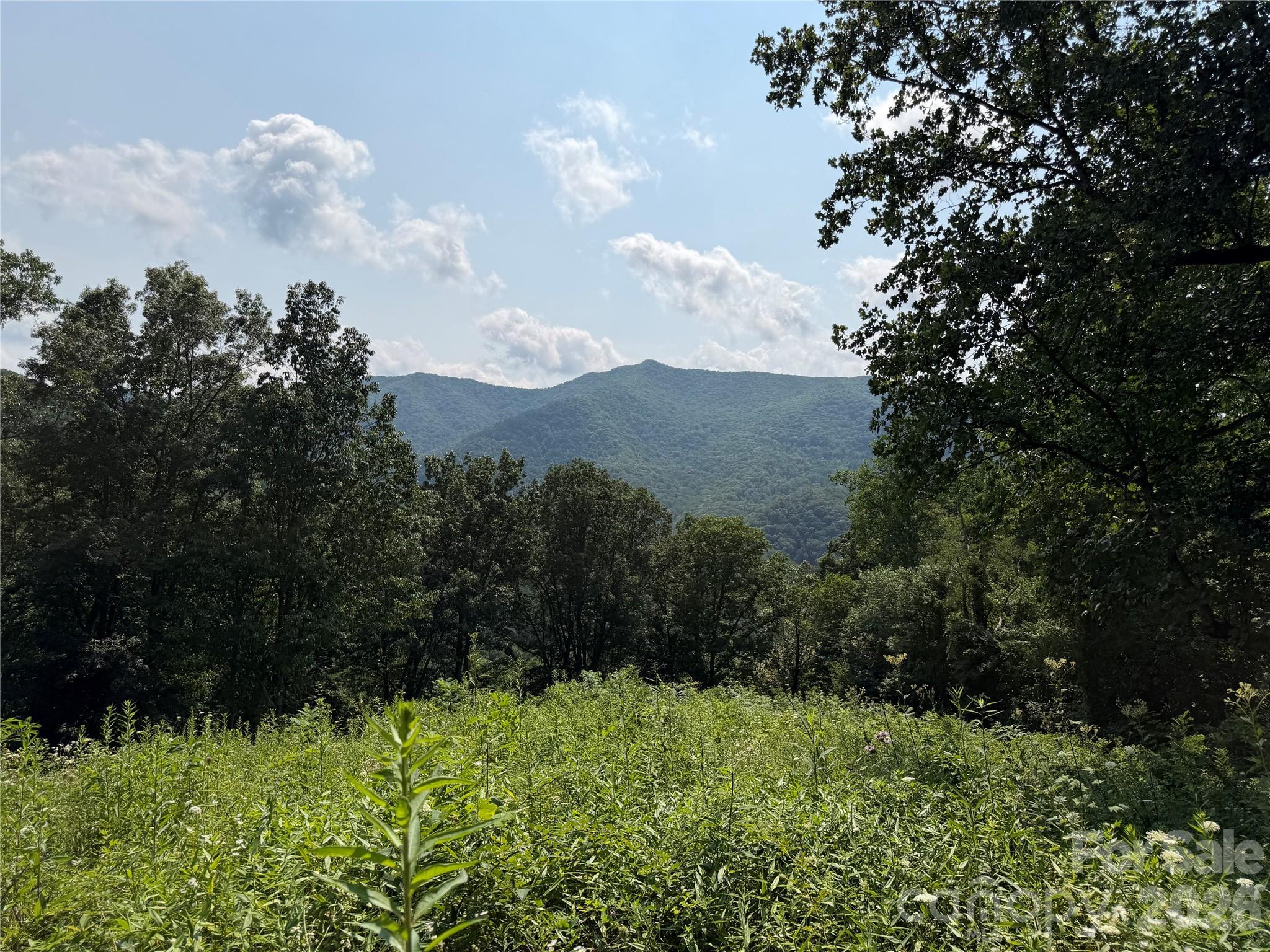 0000 Sorrells Creek Road Property Photo 2