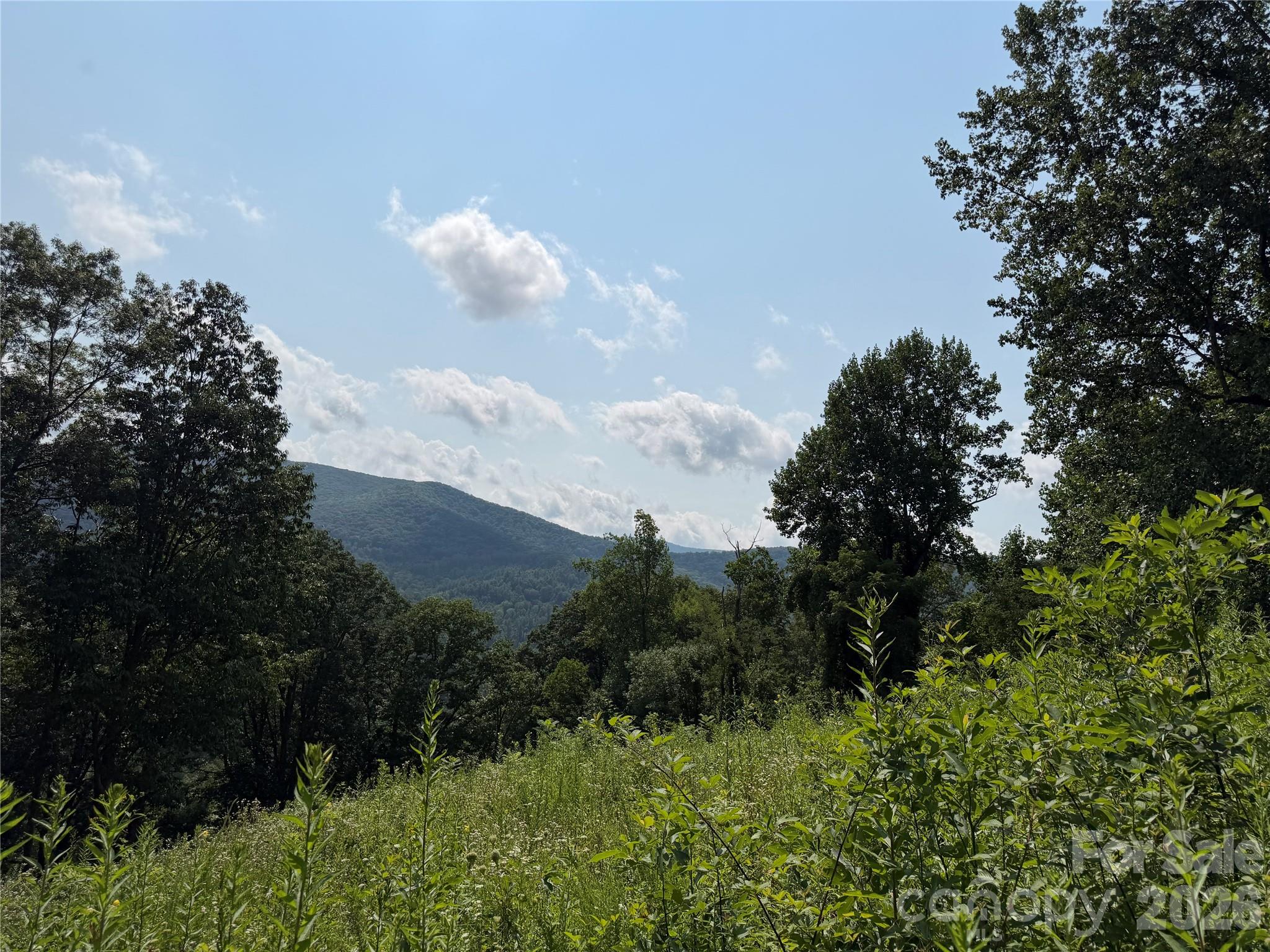 0000 Sorrells Creek Road Property Photo 3