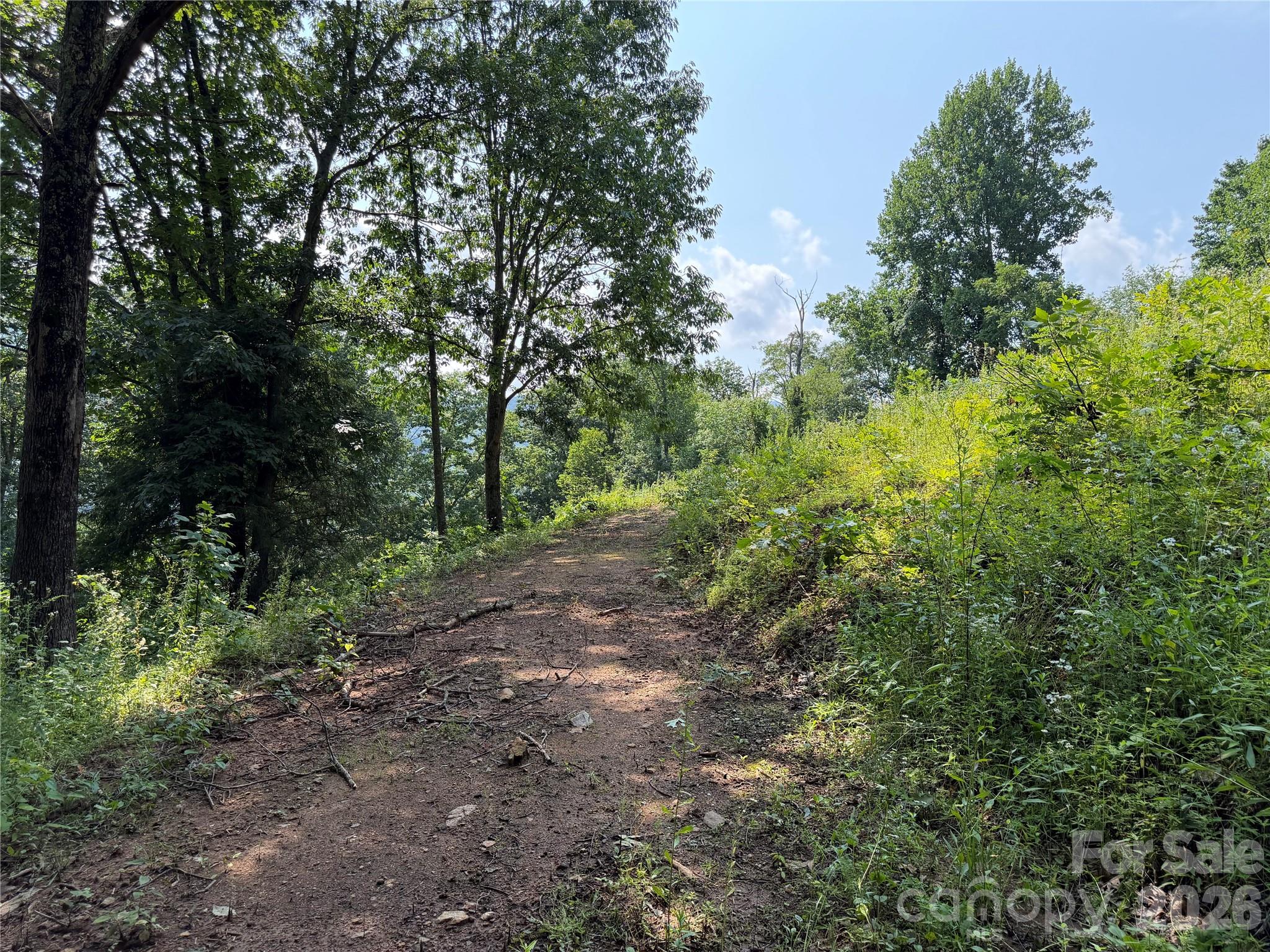 0000 Sorrells Creek Road Property Photo 4
