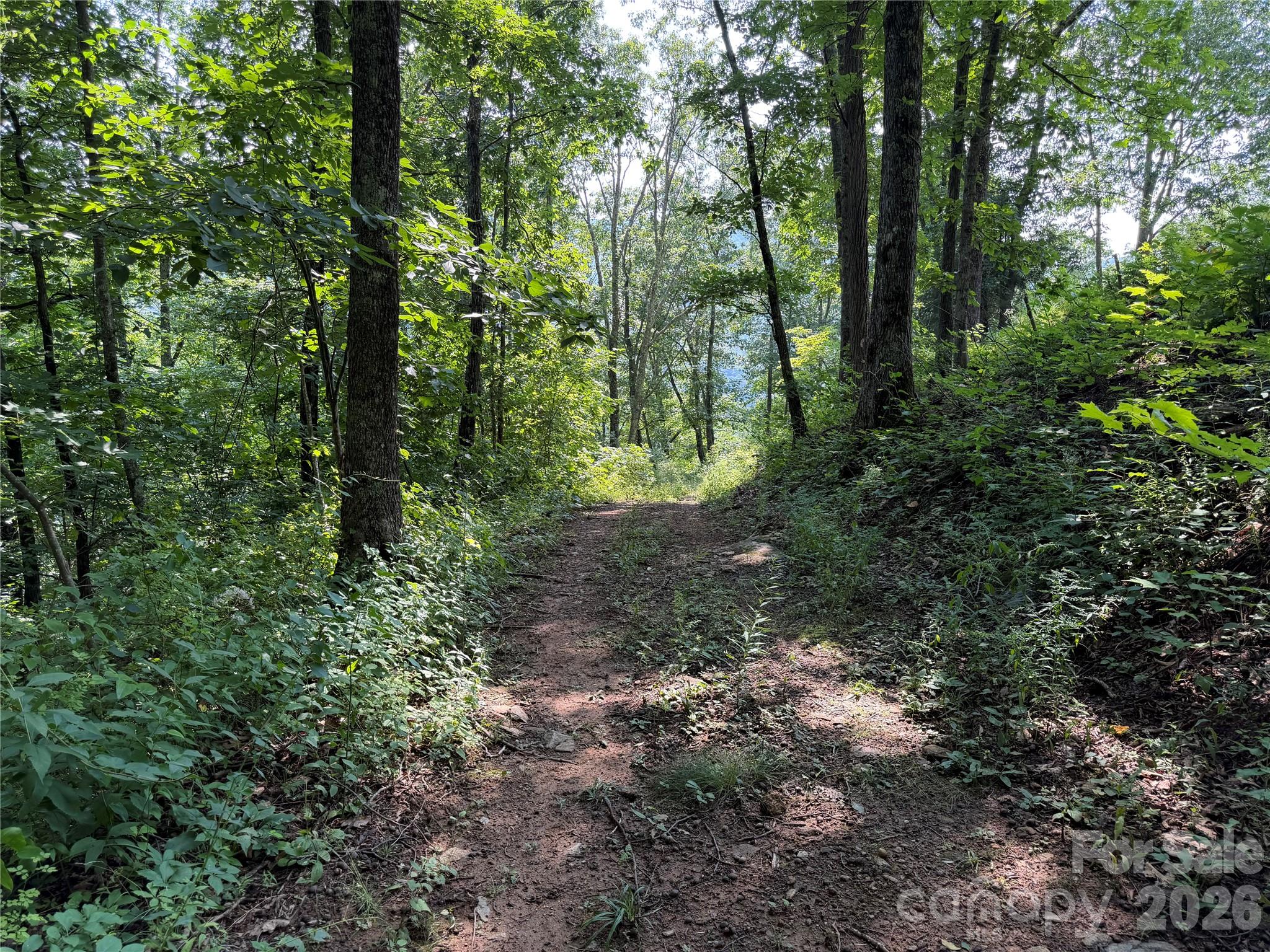 0000 Sorrells Creek Road Property Photo 6