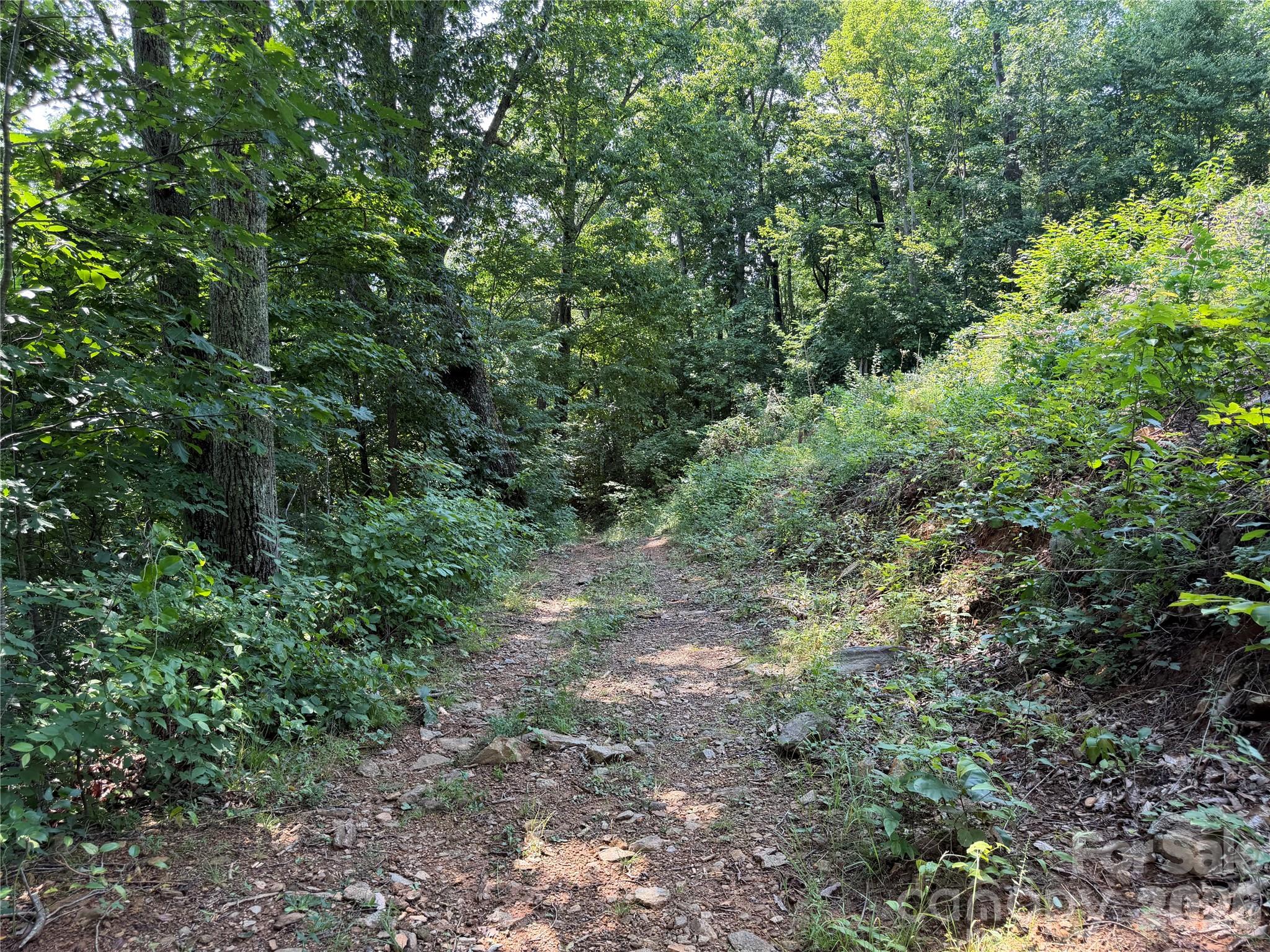 0000 Sorrells Creek Road Property Photo 7