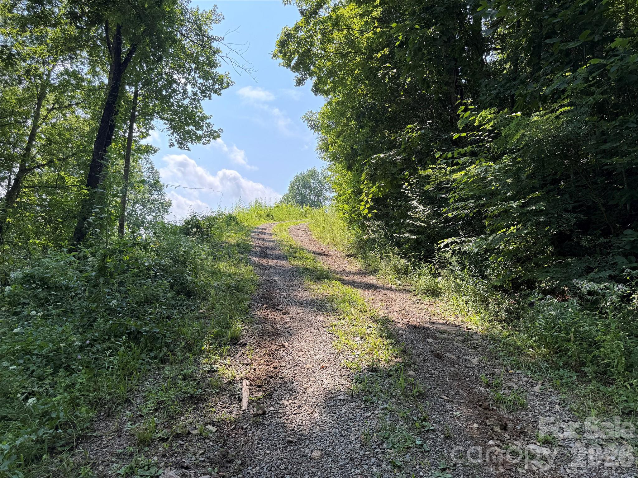 0000 Sorrells Creek Road Property Photo 10