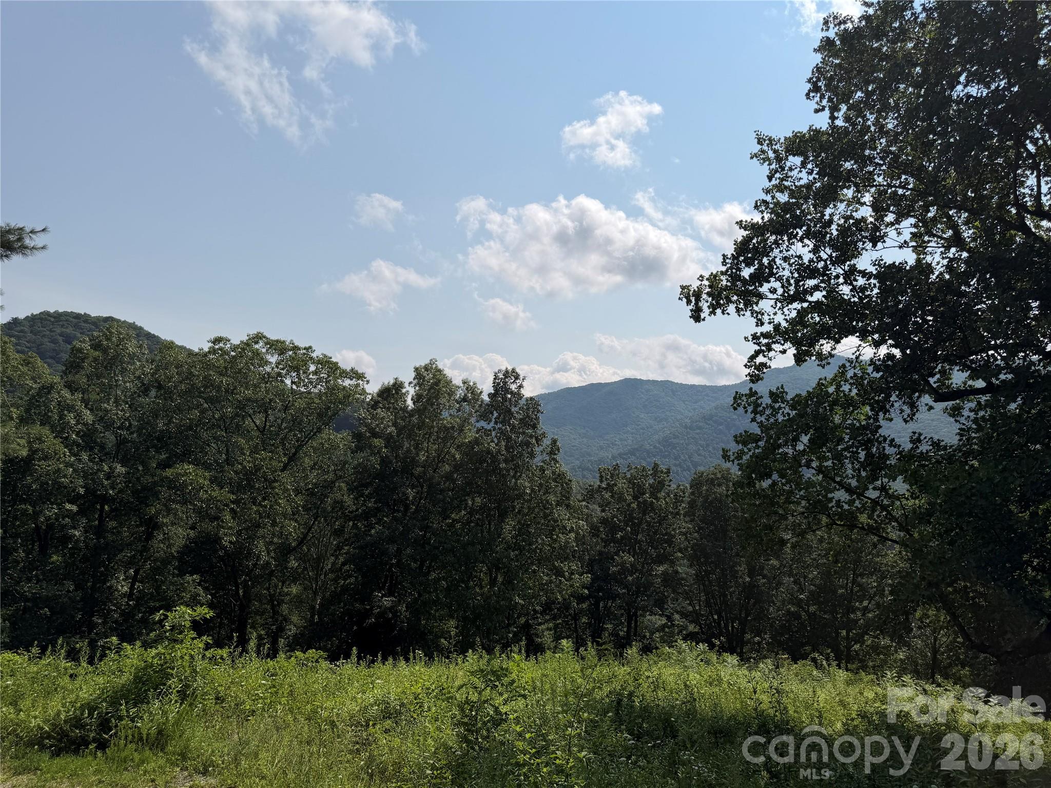 0000 Sorrells Creek Road Property Photo 11