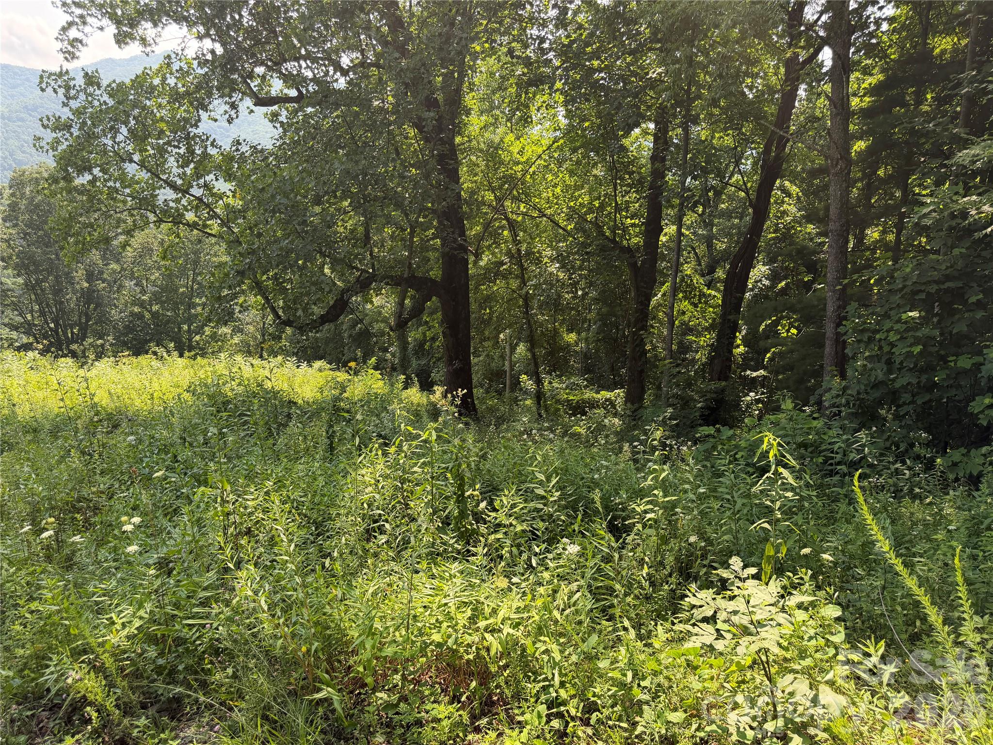 0000 Sorrells Creek Road Property Photo 12