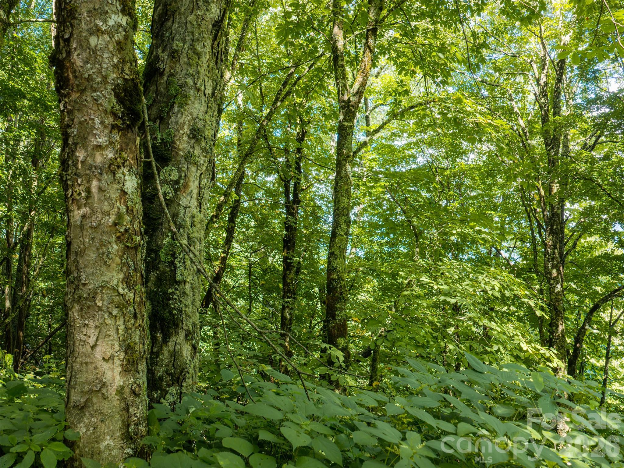 #e16 Adela Trail Property Photo 1