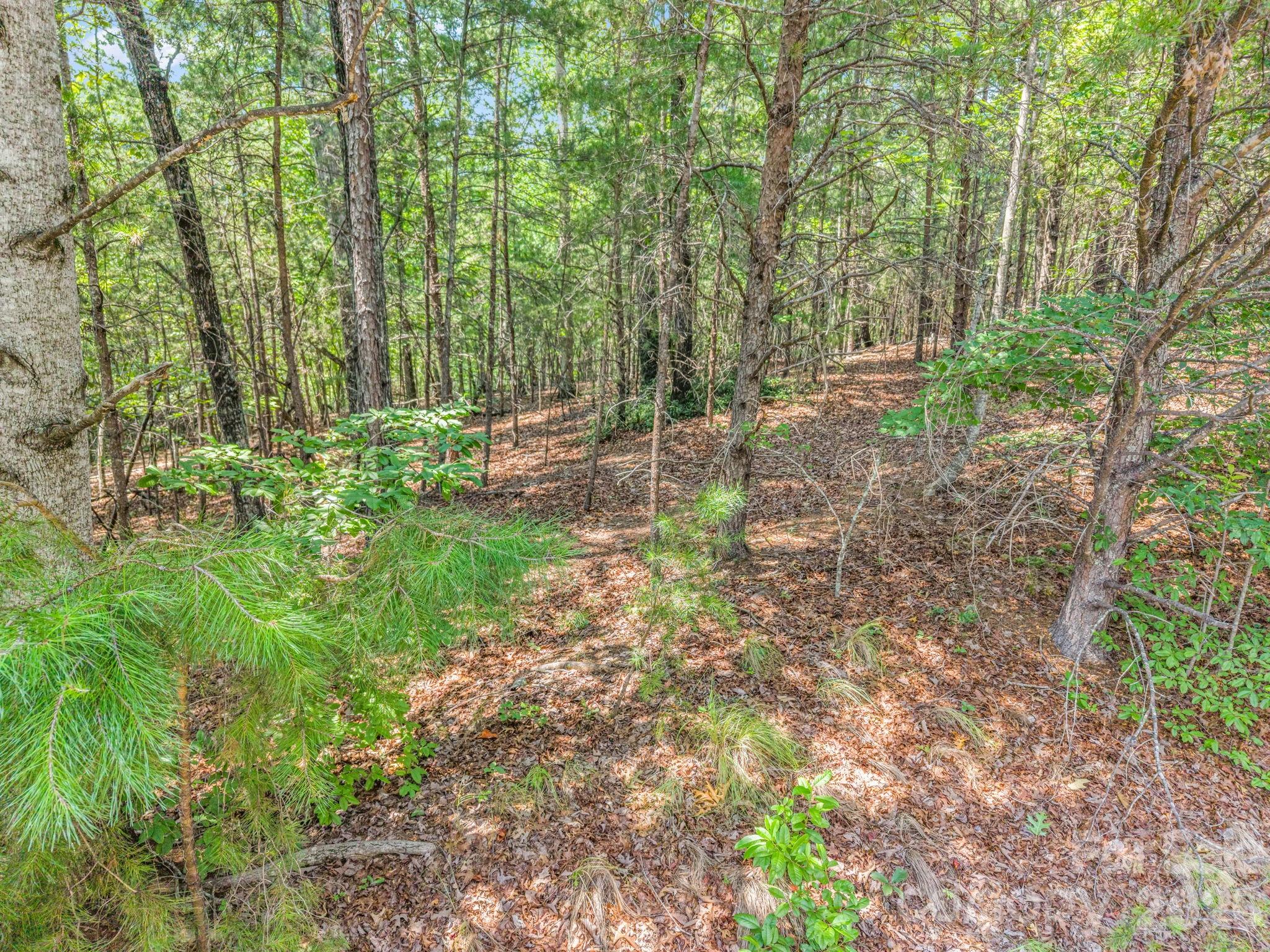00 Lake Adger Parkway 60 Property Photo 15