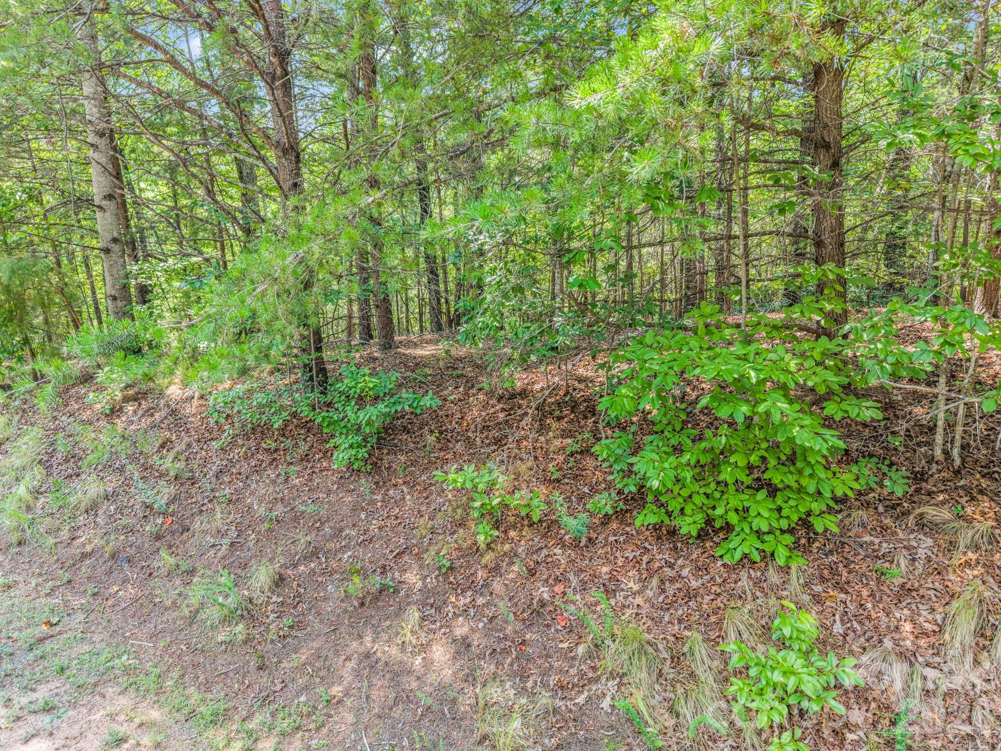 00 Lake Adger Parkway 60 Property Photo 16