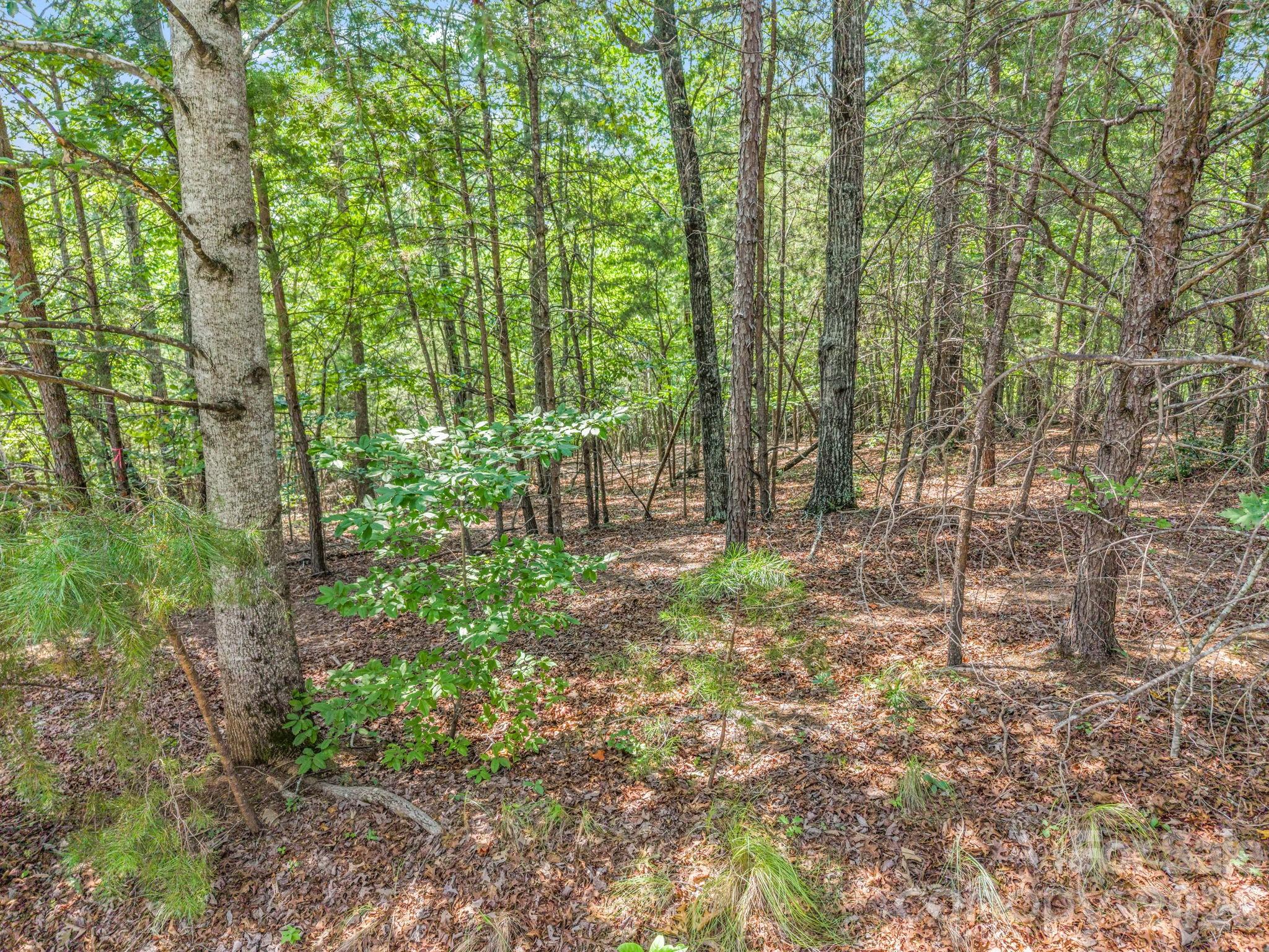 00 Lake Adger Parkway 60 Property Photo 17