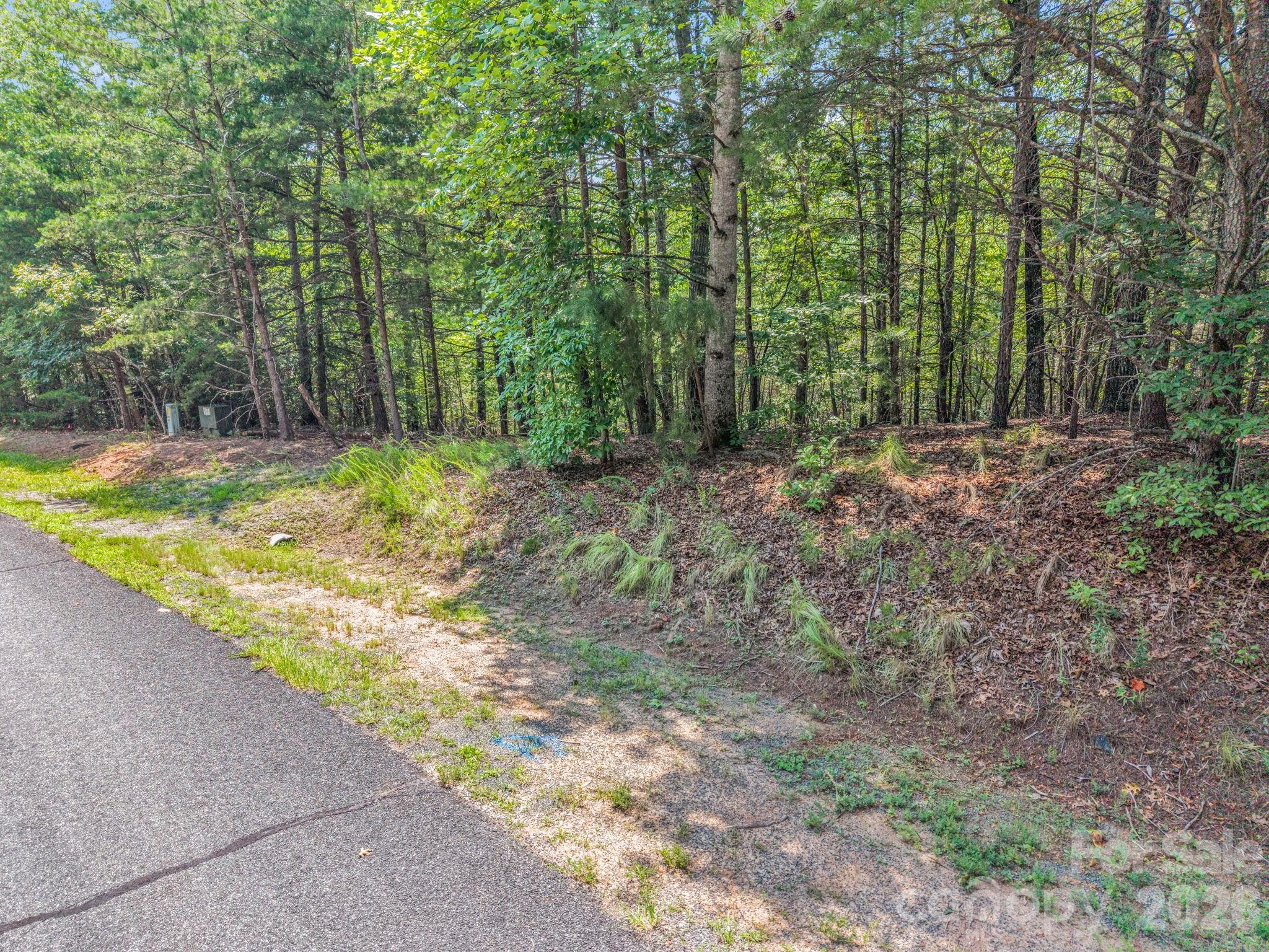00 Lake Adger Parkway 60 Property Photo 18