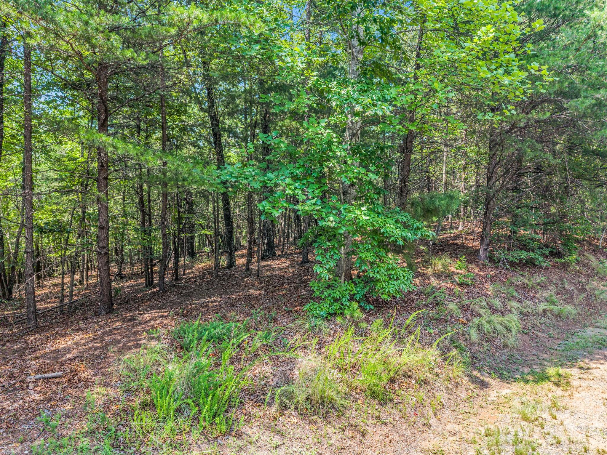 00 Lake Adger Parkway 60 Property Photo 19