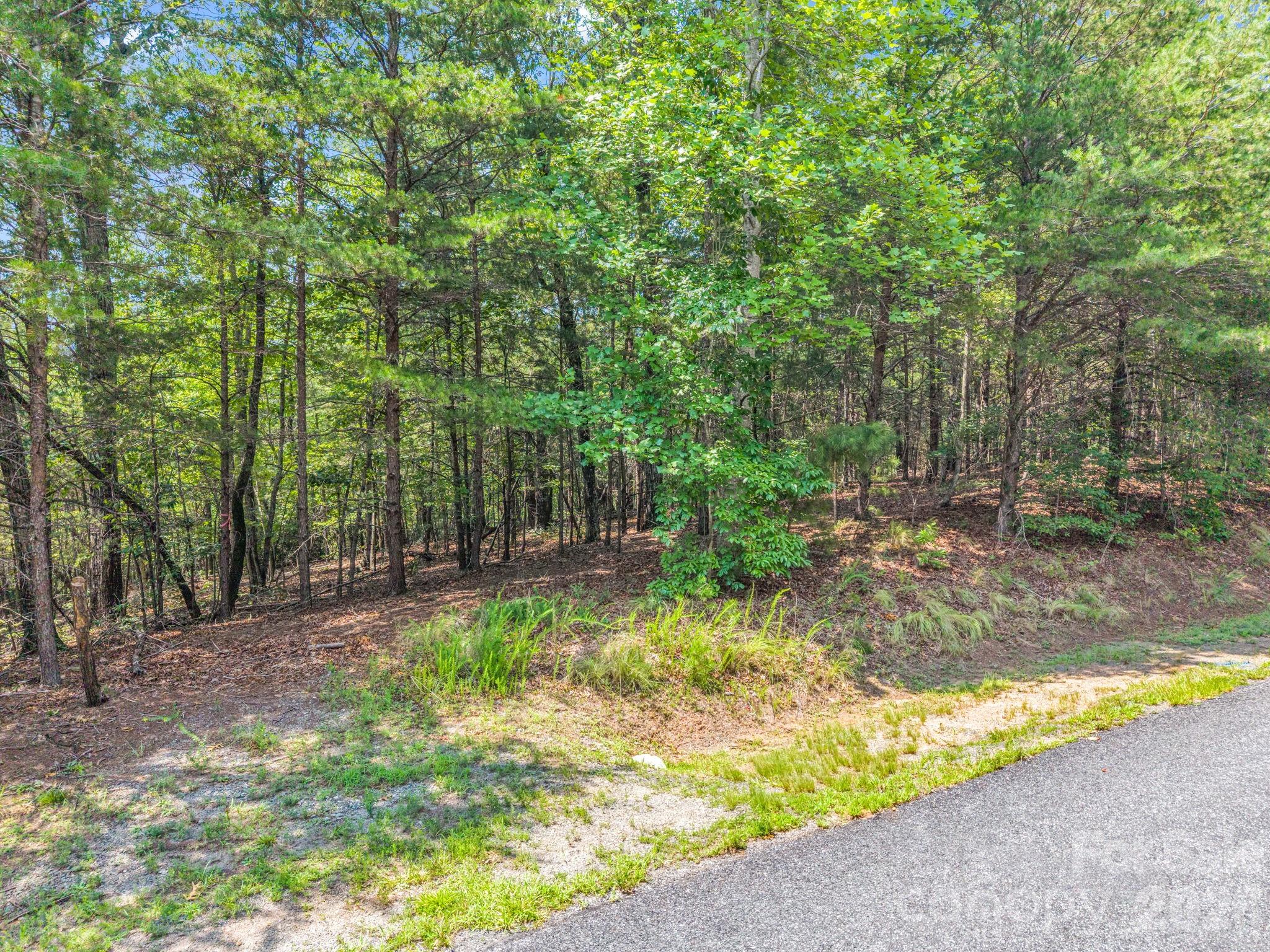 00 Lake Adger Parkway 60 Property Photo 20