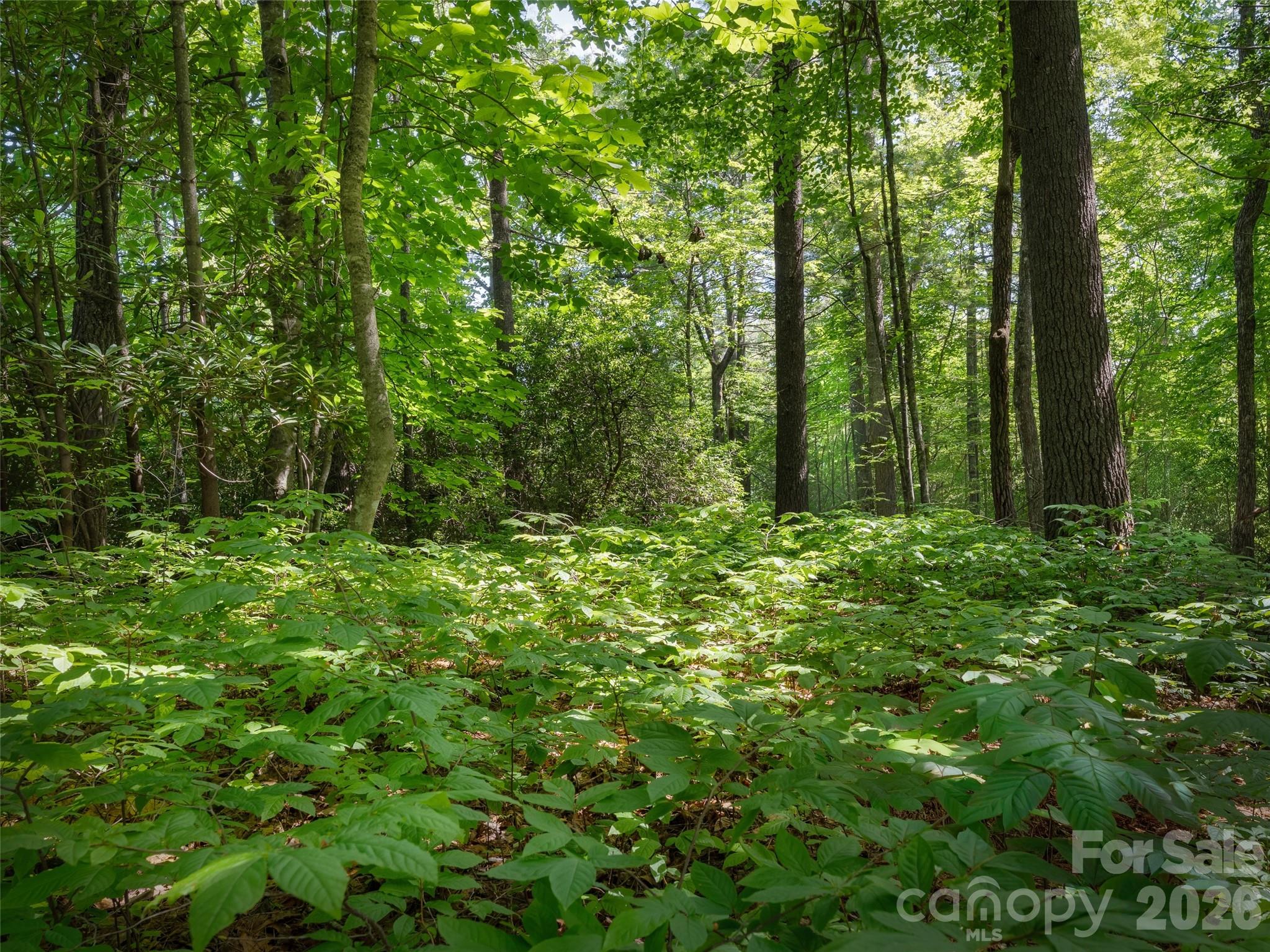Lot 161 Eagle Lake Drive Property Photo 1