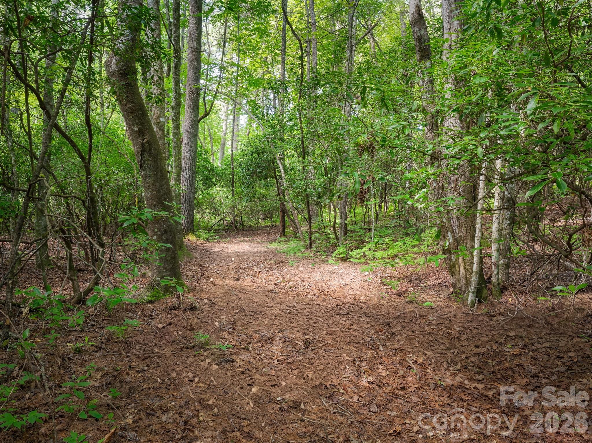 Lot 161 Eagle Lake Drive Property Photo 2